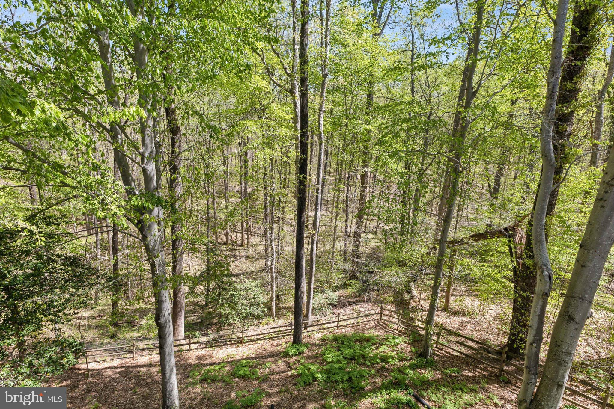 PRESIDENTIAL LAKES - Residential