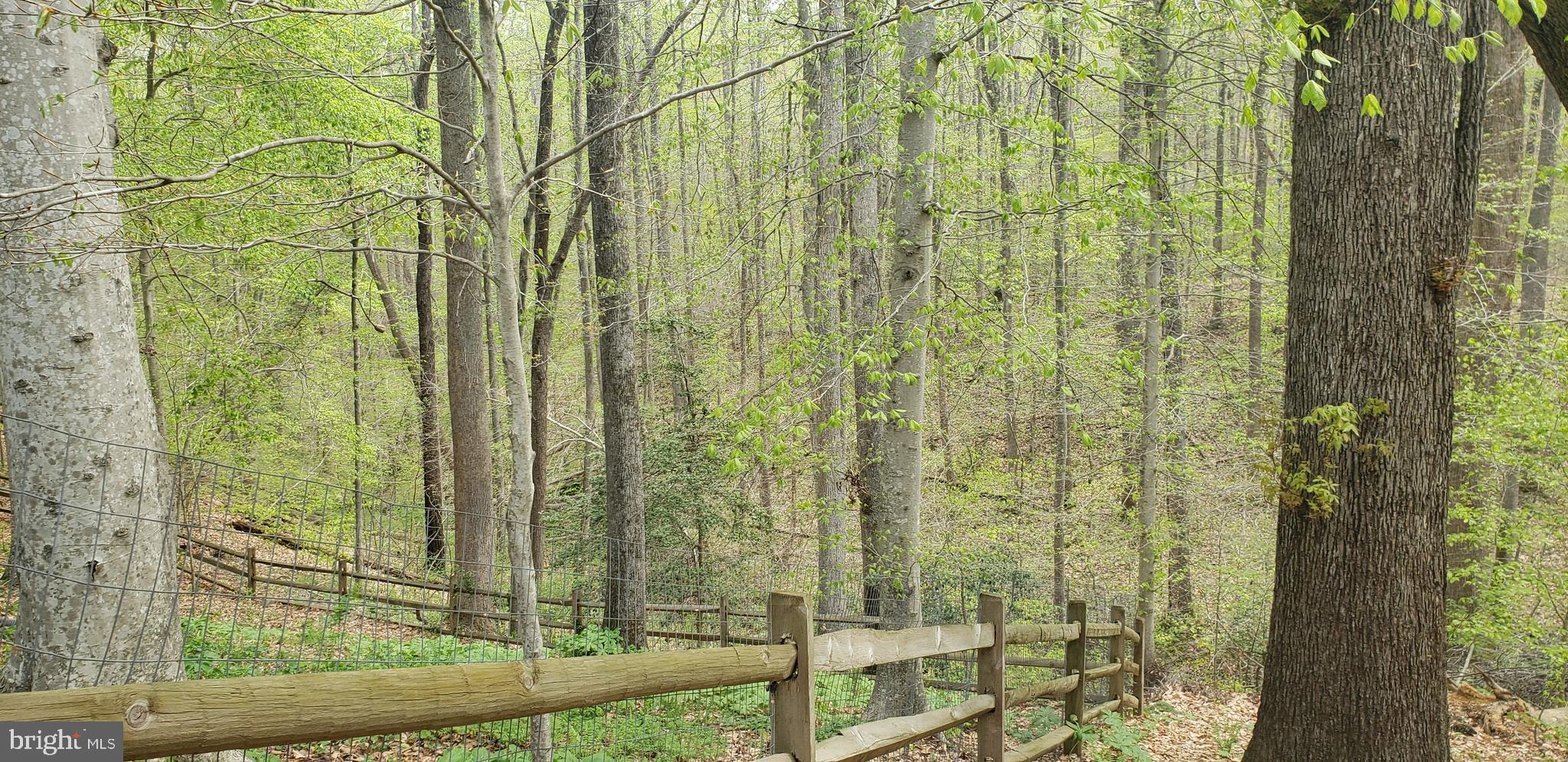 PRESIDENTIAL LAKES - Residential