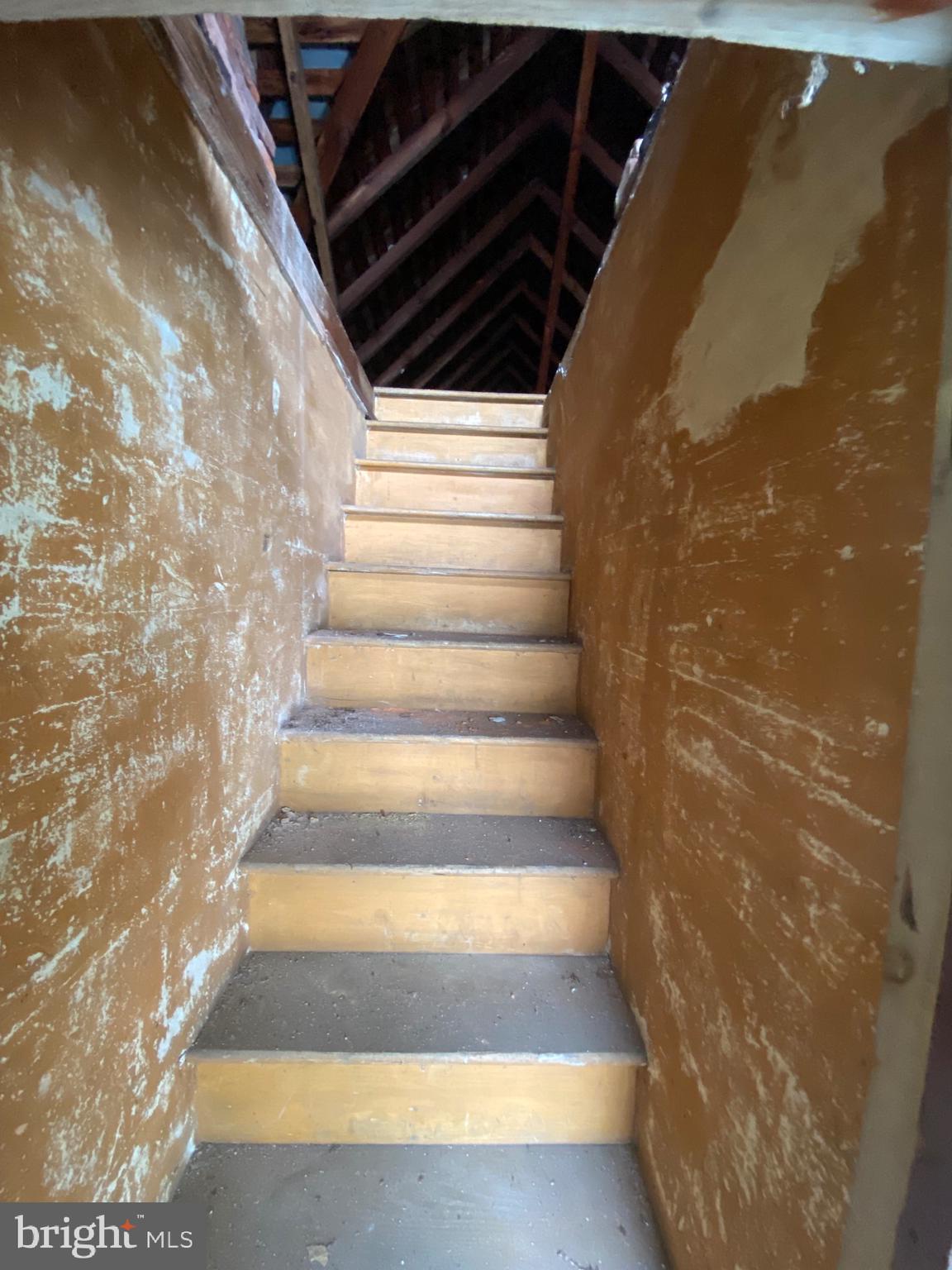 SMITH ISLAND - Residential