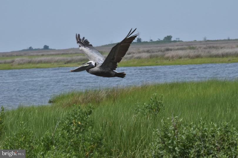 SMITH ISLAND - Residential
