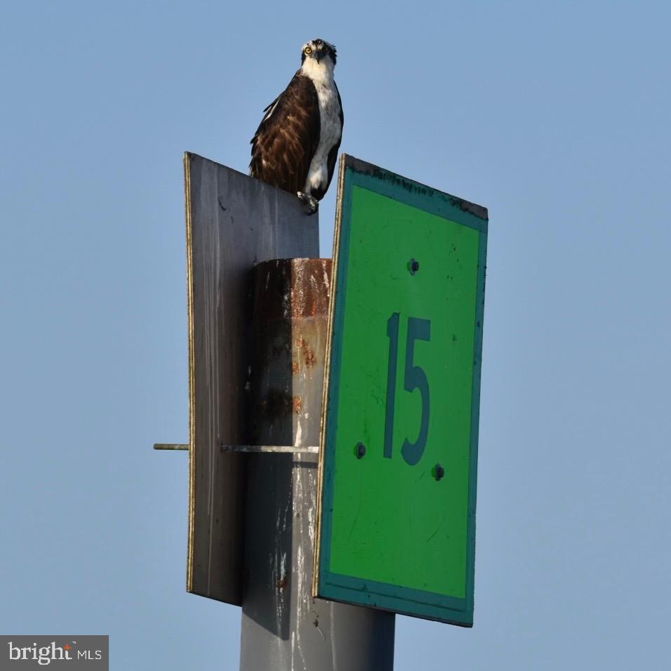 SMITH ISLAND - Residential