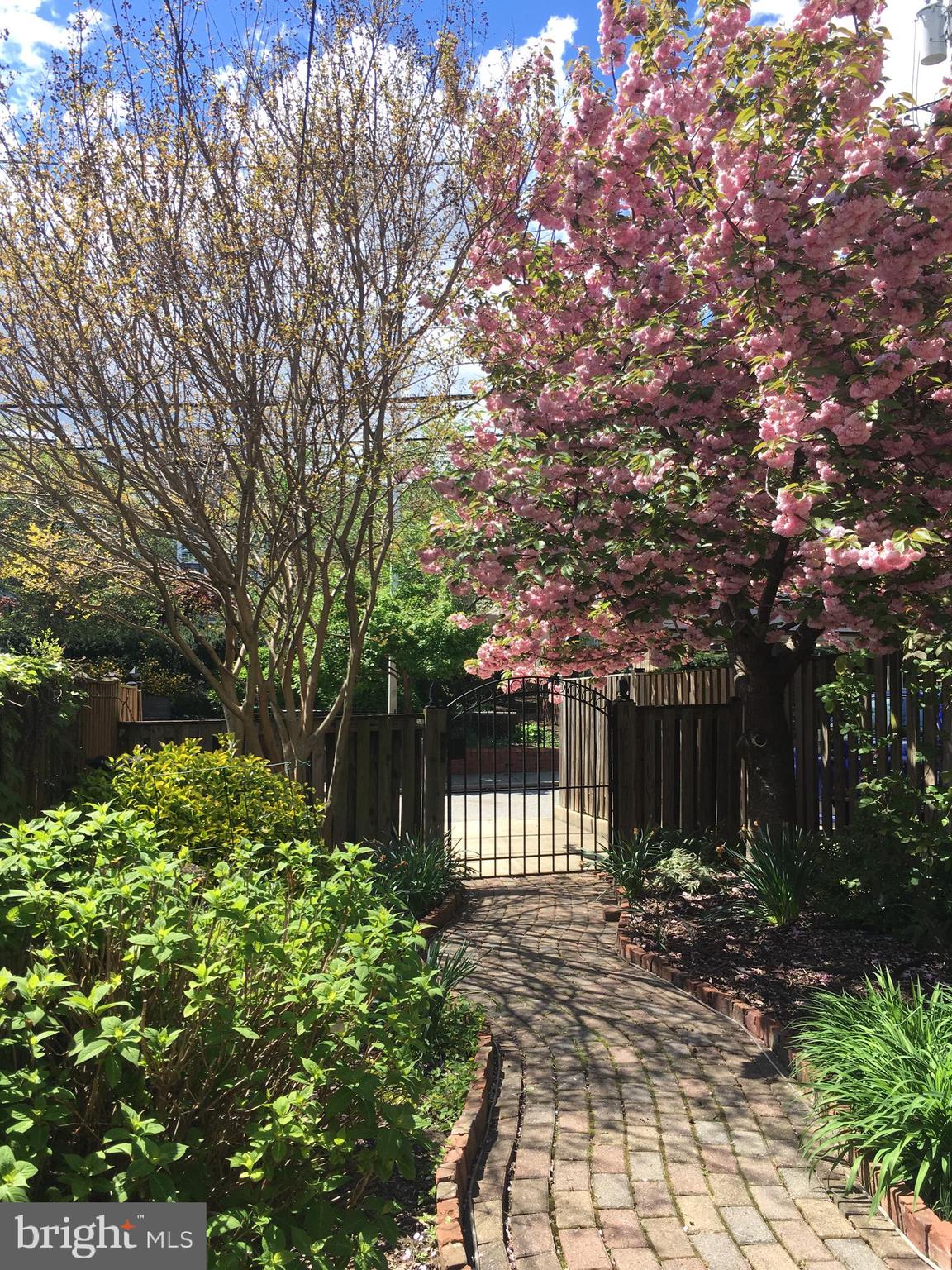 BUTCHER'S HILL - Residential