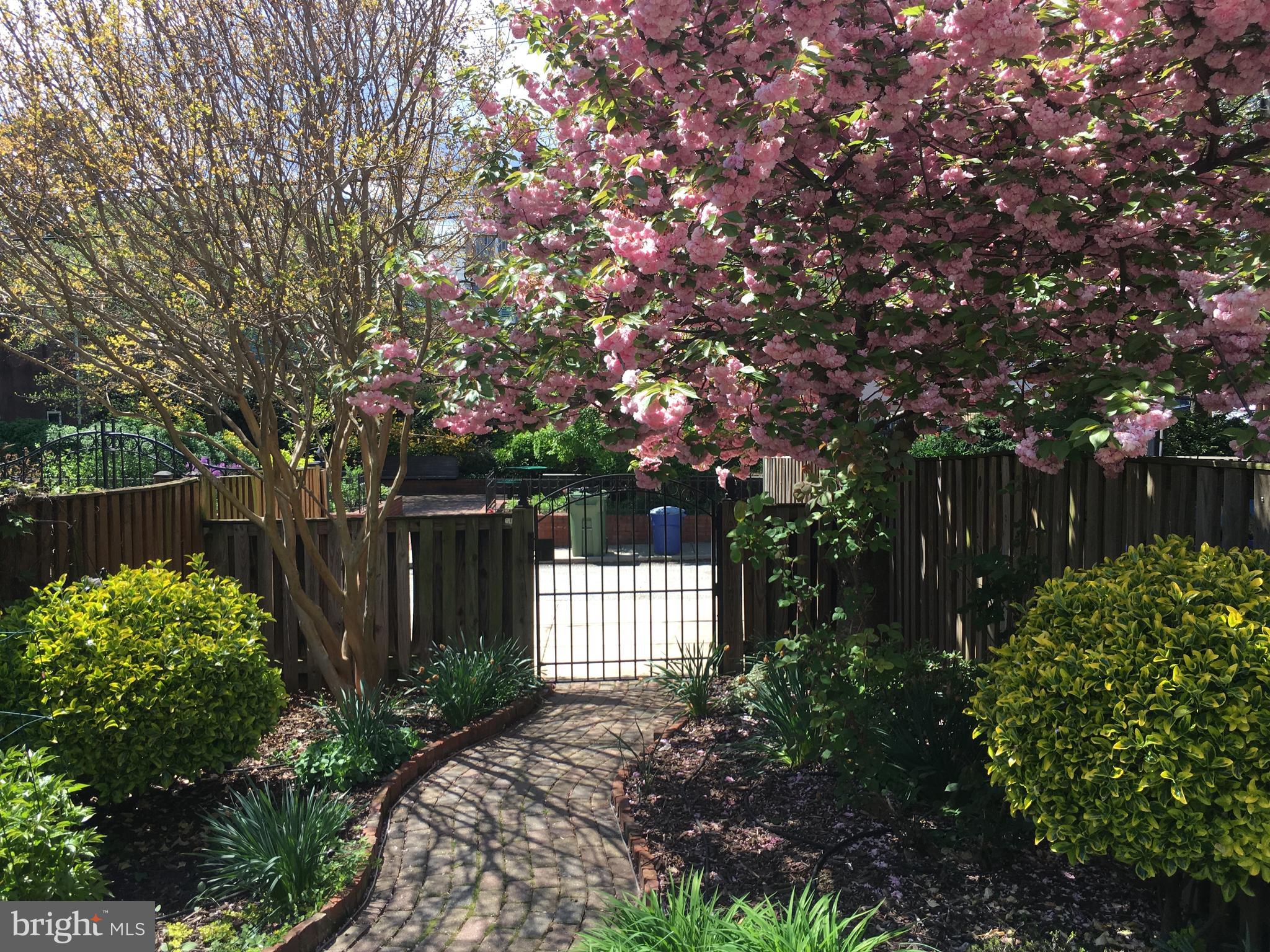 BUTCHER'S HILL - Residential