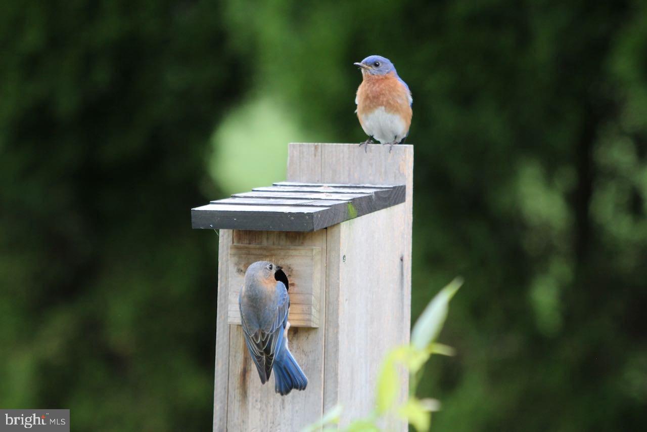 ORCHARD CROSSING - Residential
