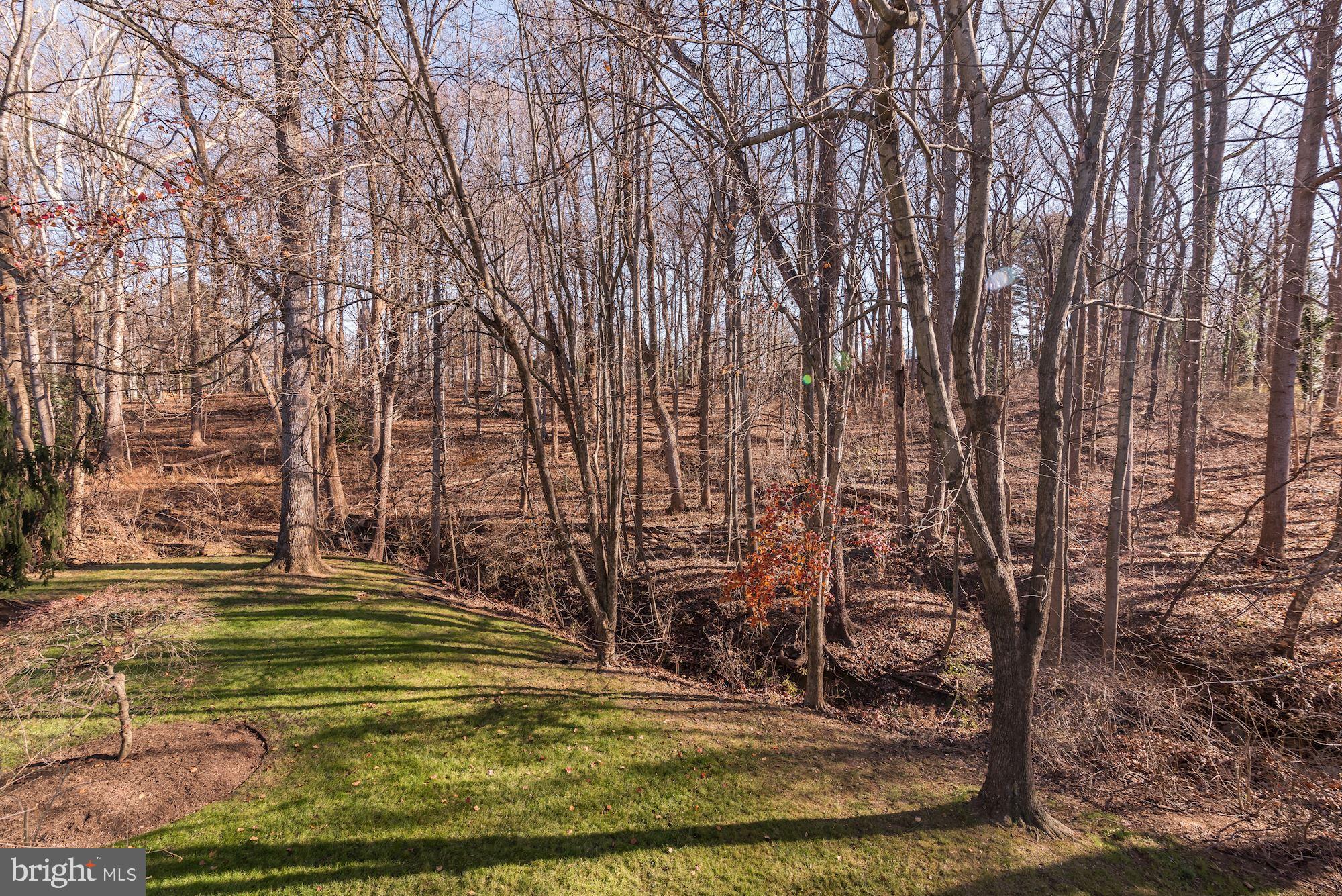 CARDEROCK SPRINGS - Residential