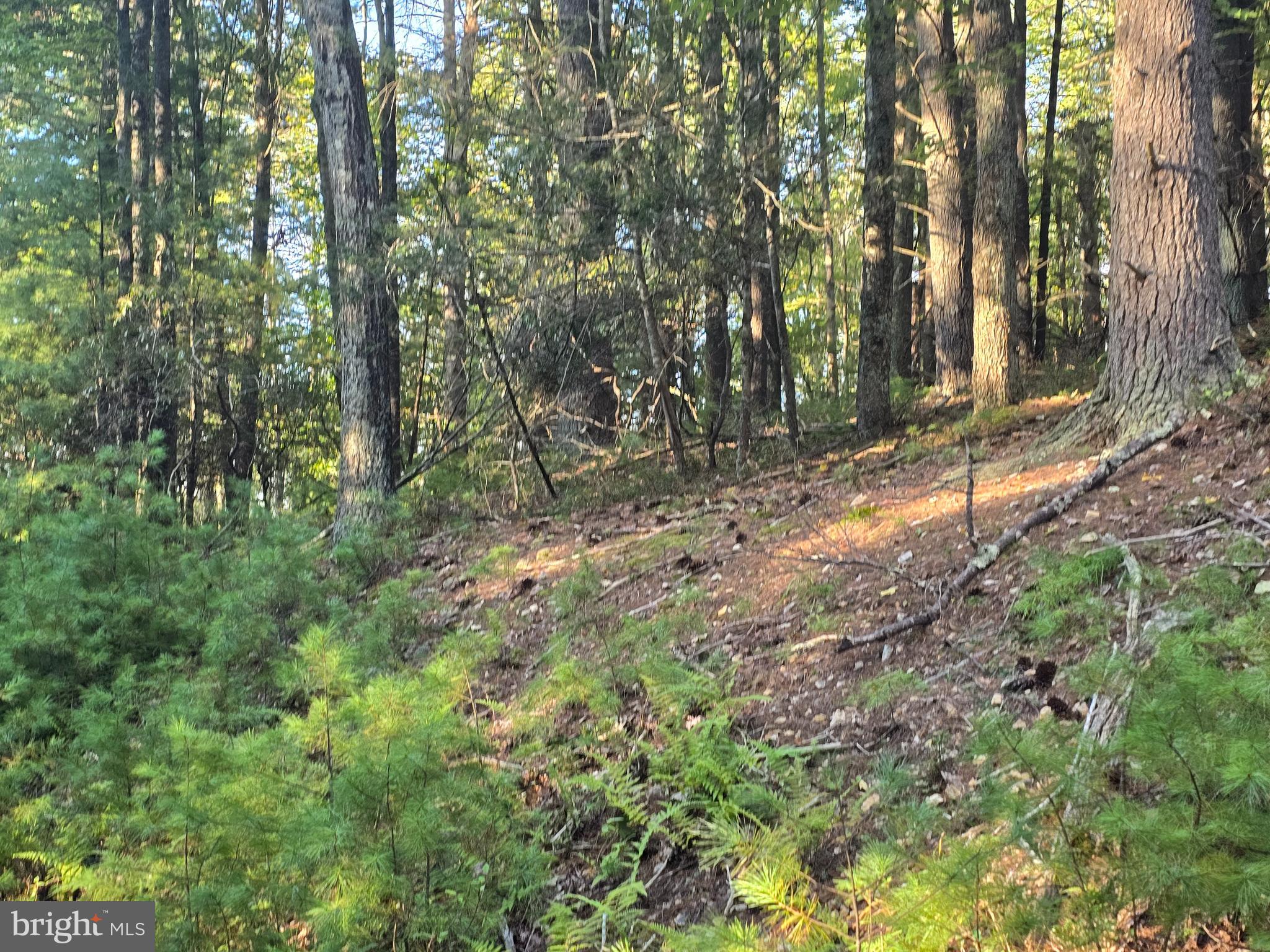 Lot 24 & 27 NATIVE TROUT LN