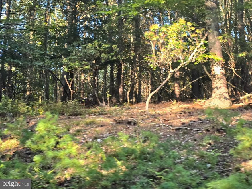 Looking for a piece of land to escape the hustle and bustle of city life? This almost 17 acre- 2 parcel piece of mountain land is looking for its new owner to build their forever home or weekend getaway. These parcels are adjoined but can also be sold separately.