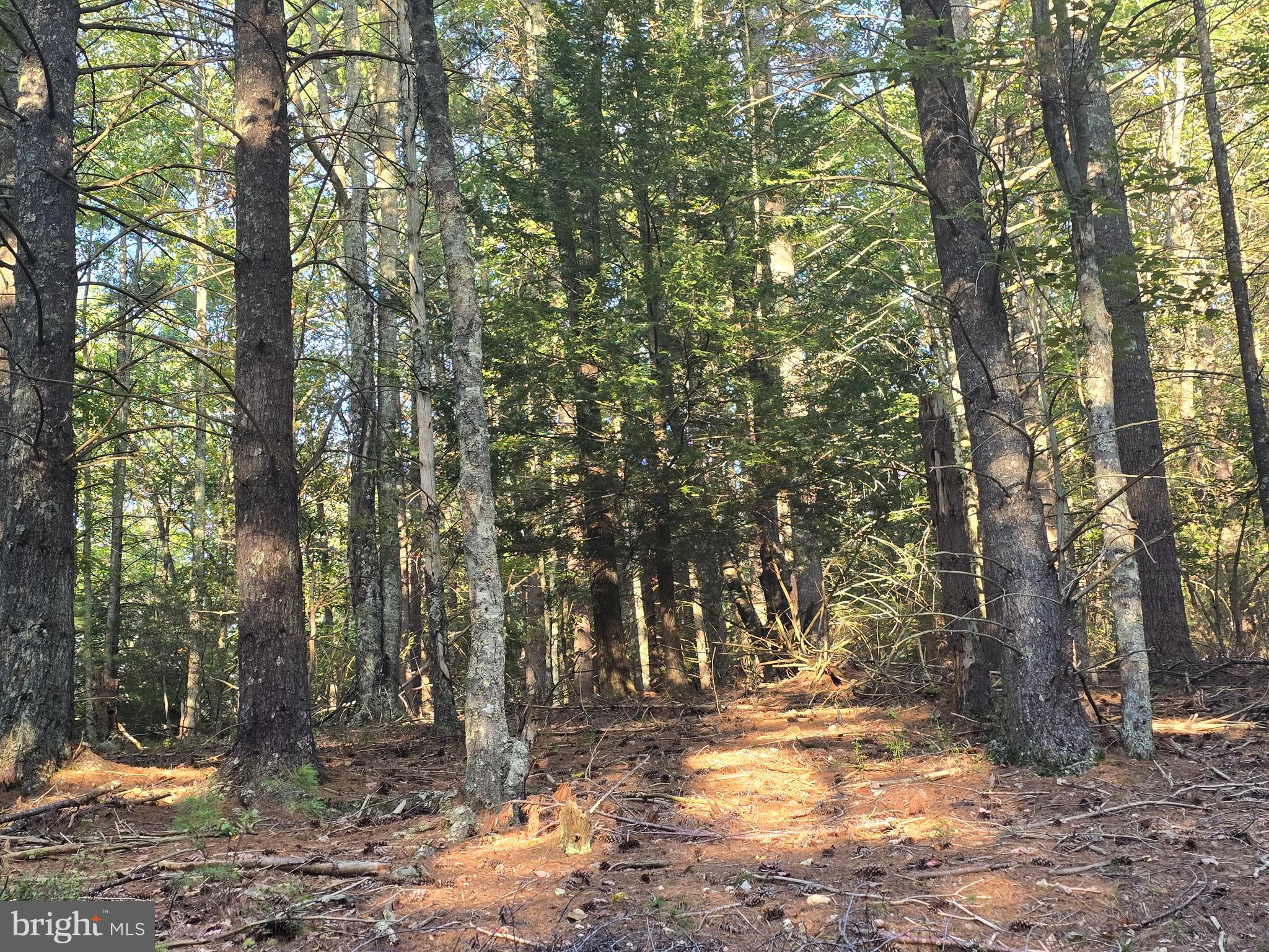 Lot 24 & 27 NATIVE TROUT LN