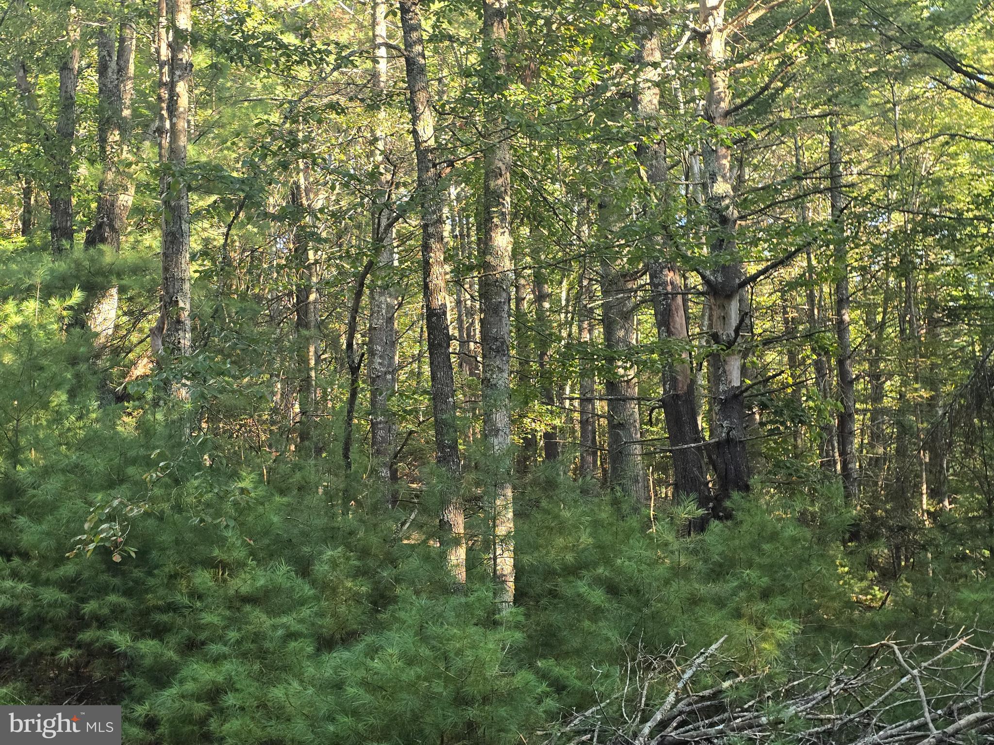 Lot 24 & 27 NATIVE TROUT LN