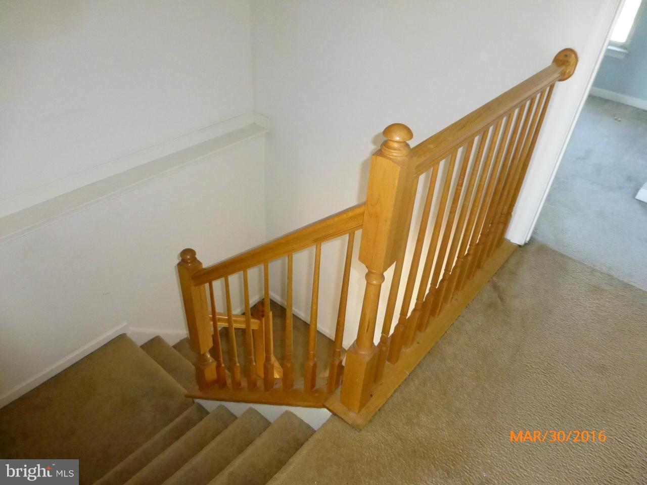 LOHR'S ORCHARD - Residential