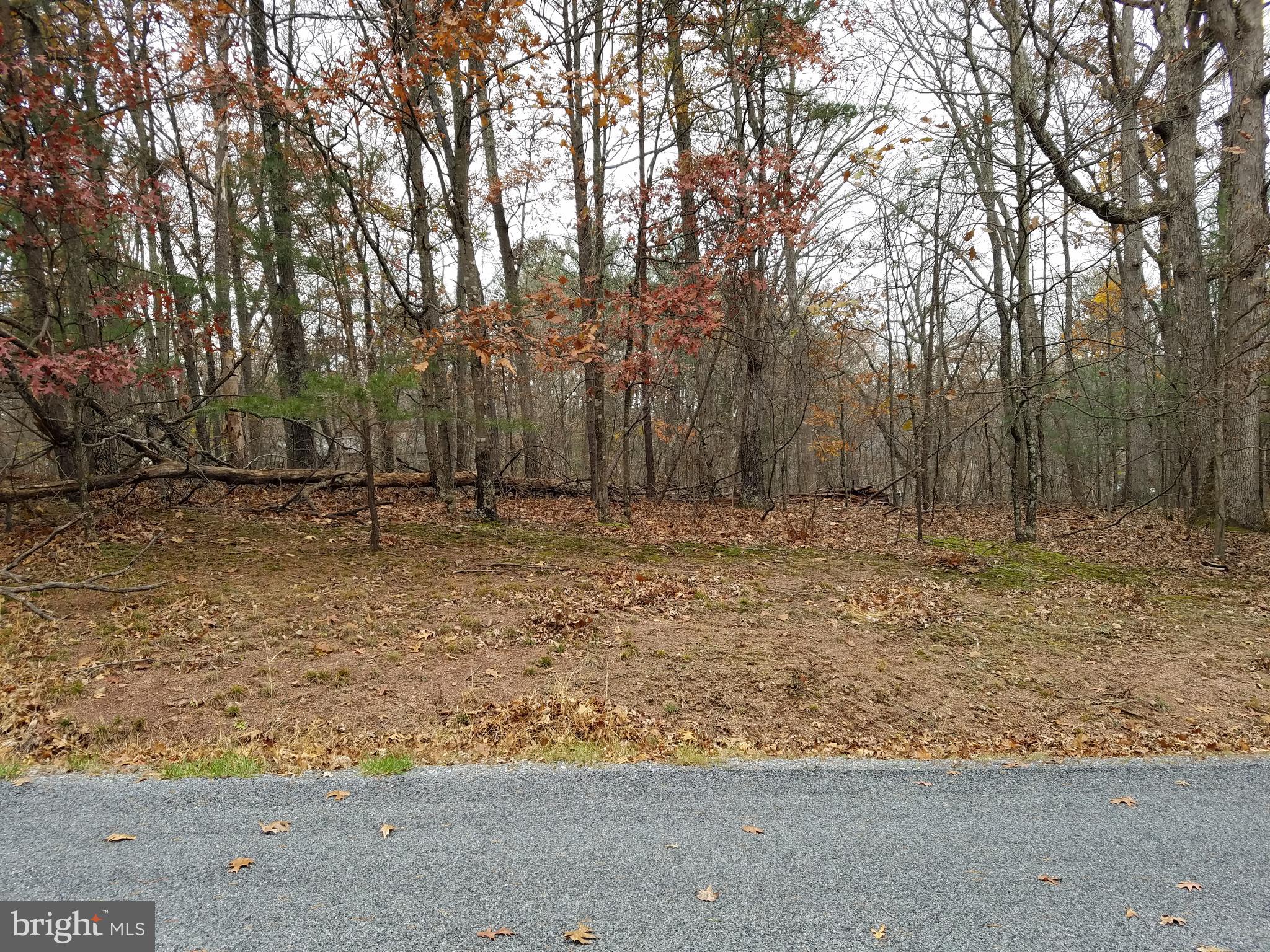 LAKE HOLIDAY ESTATES - Land