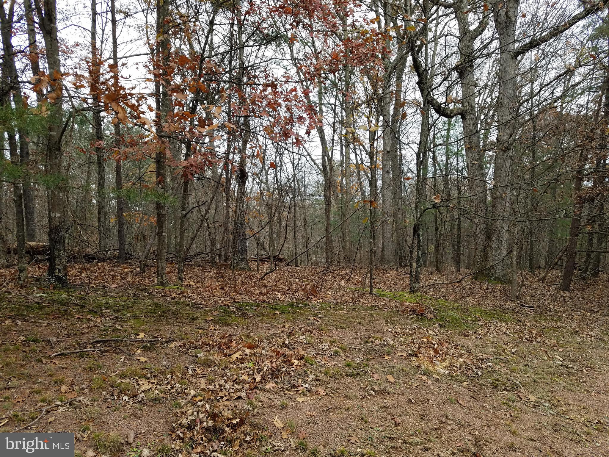 LAKE HOLIDAY ESTATES - Land