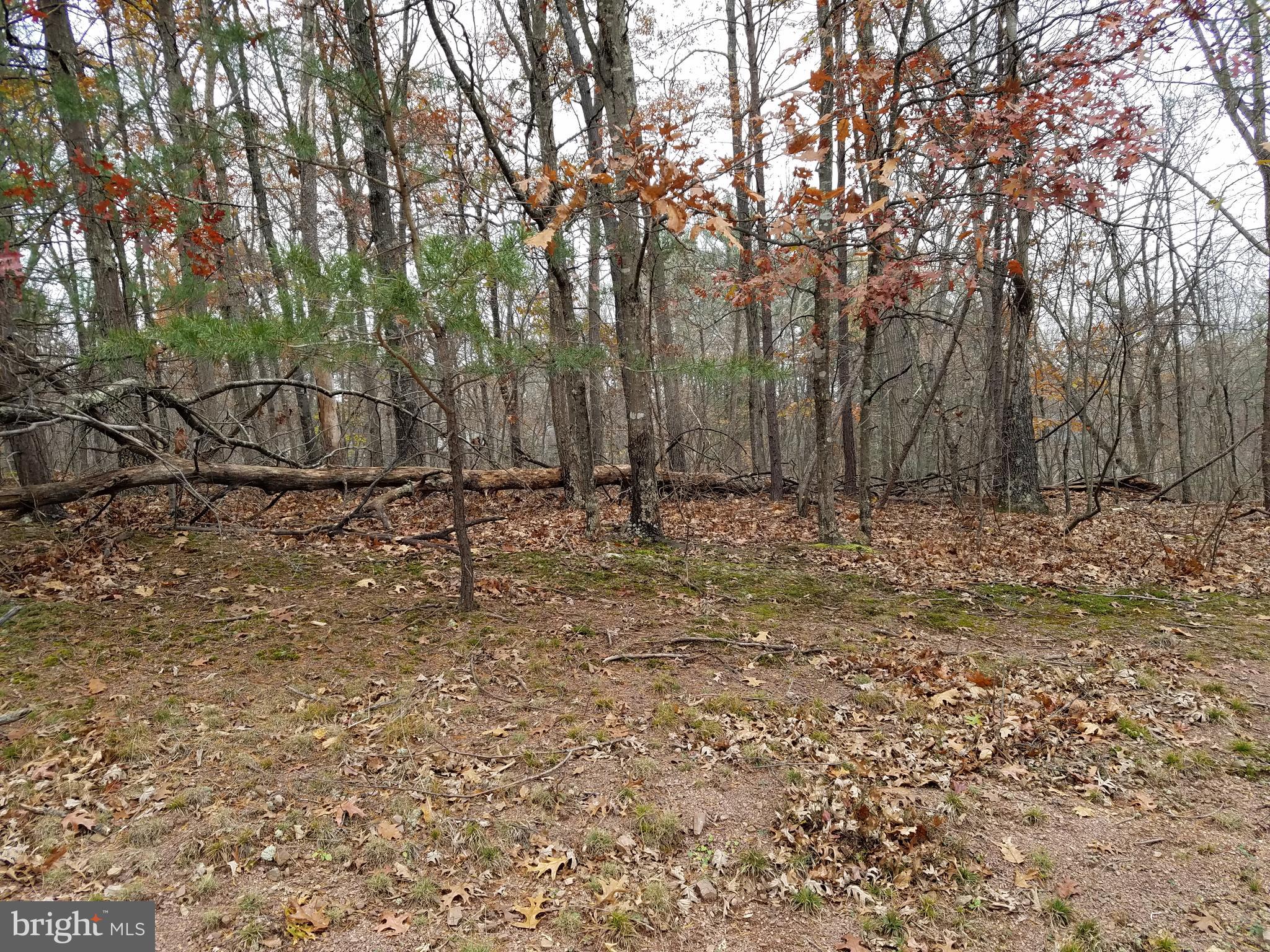 LAKE HOLIDAY ESTATES - Land