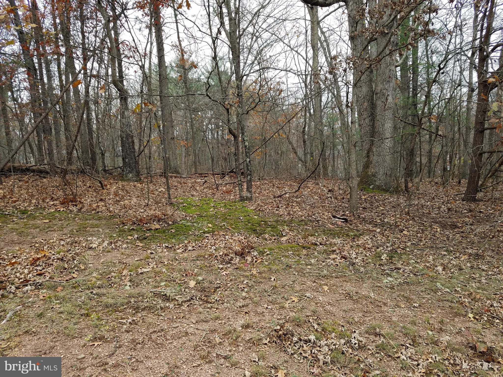 LAKE HOLIDAY ESTATES - Land