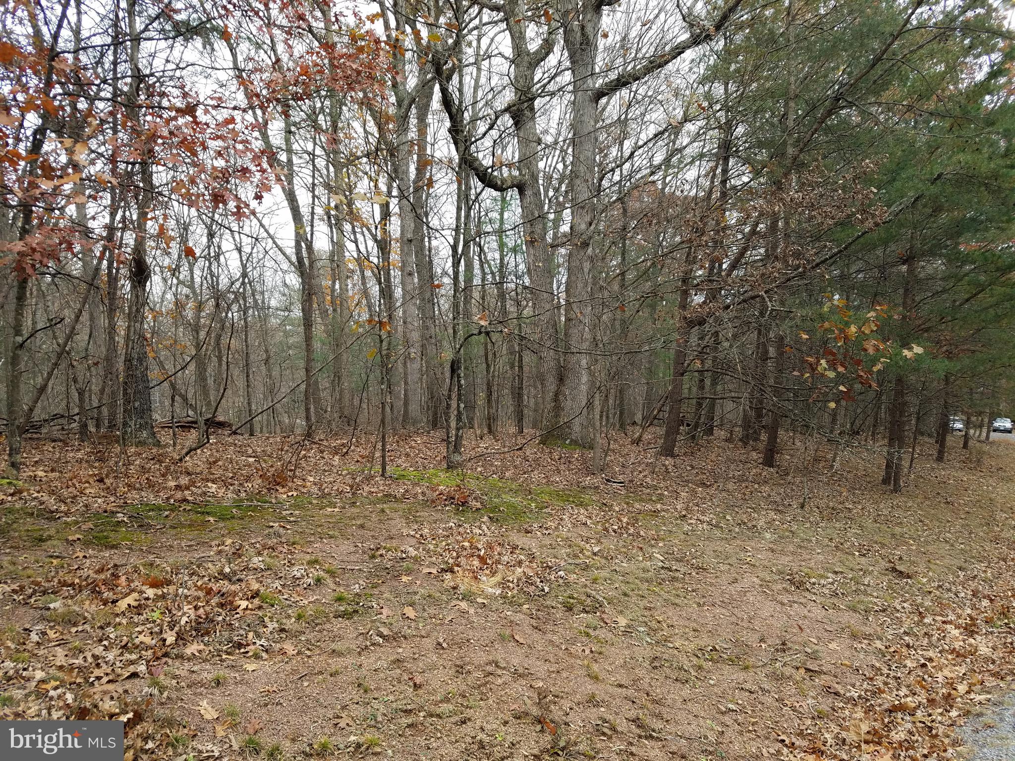 LAKE HOLIDAY ESTATES - Land