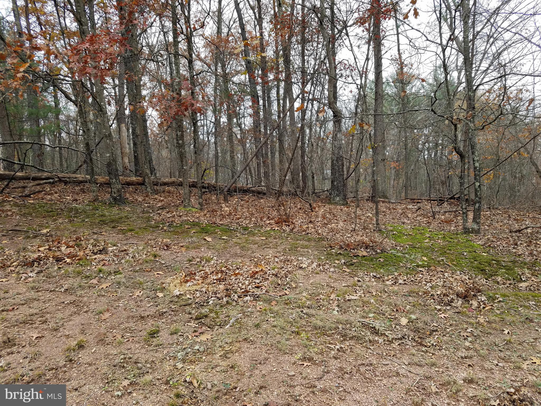 LAKE HOLIDAY ESTATES - Land