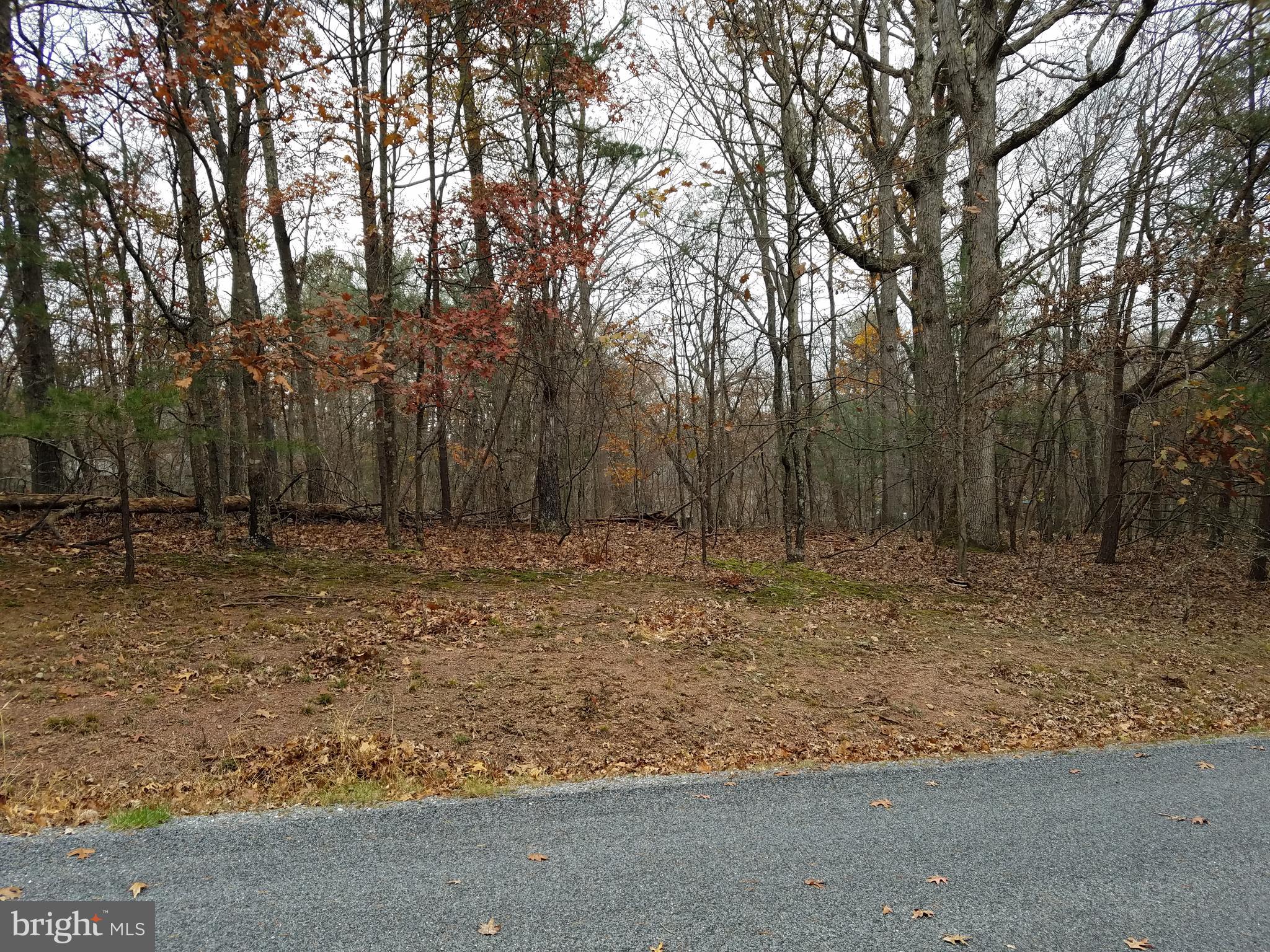 LAKE HOLIDAY ESTATES - Land