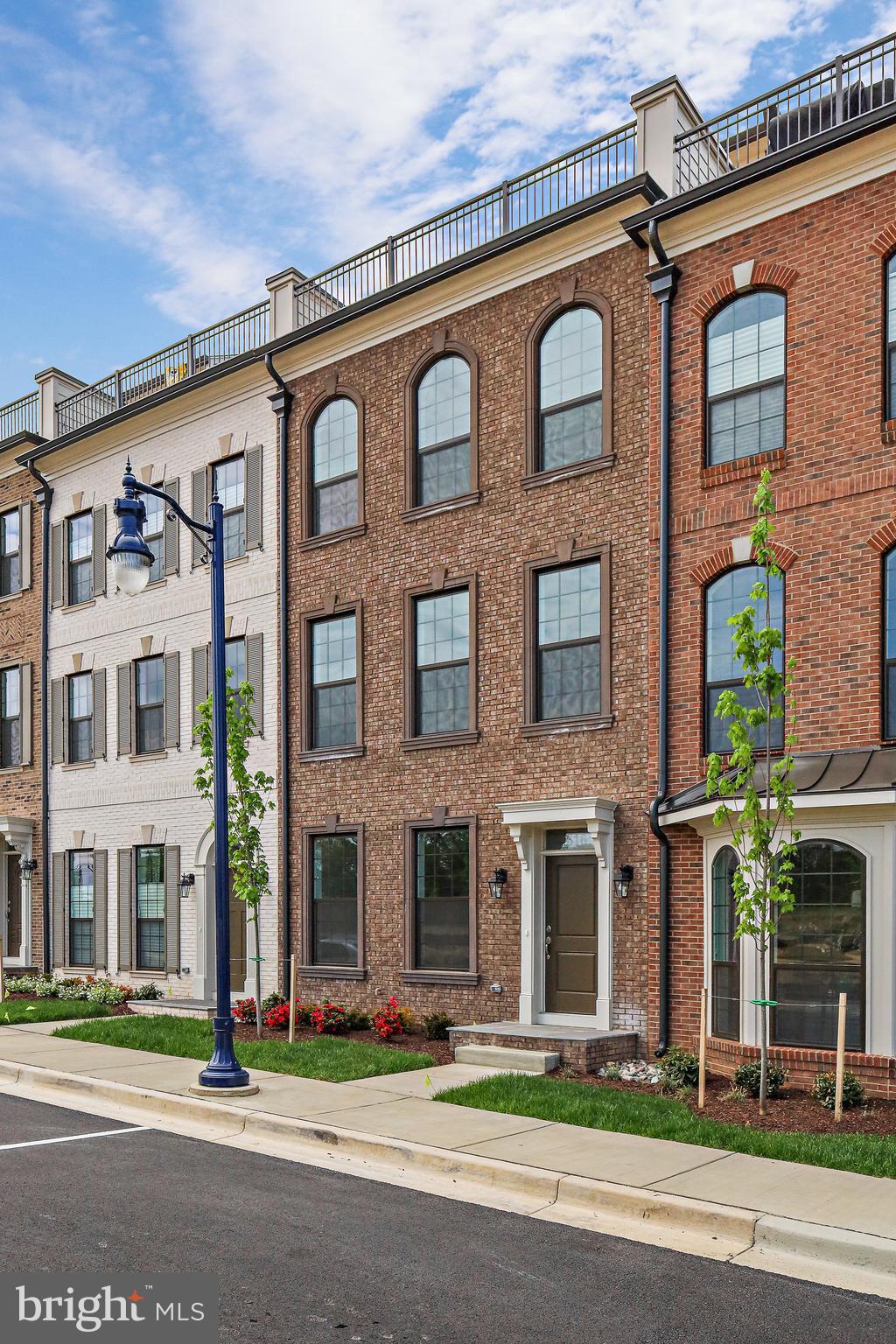 0 TRIGGERFISH DRIVE