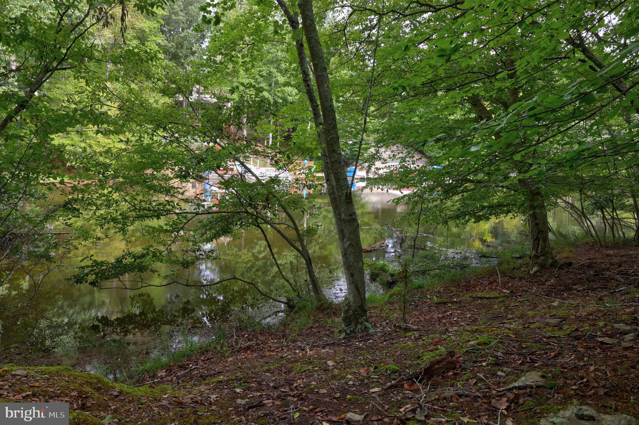LAKE MONTICELLO - Land