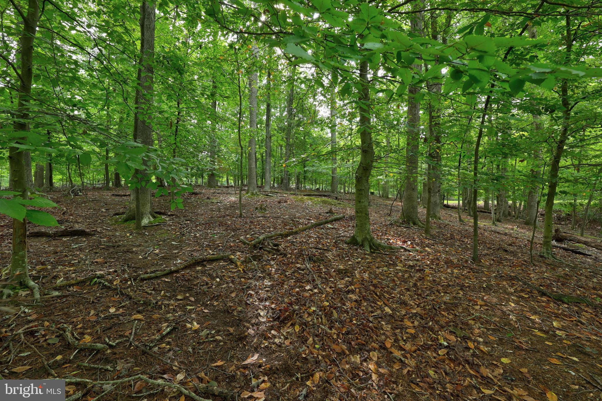 LAKE MONTICELLO - Land