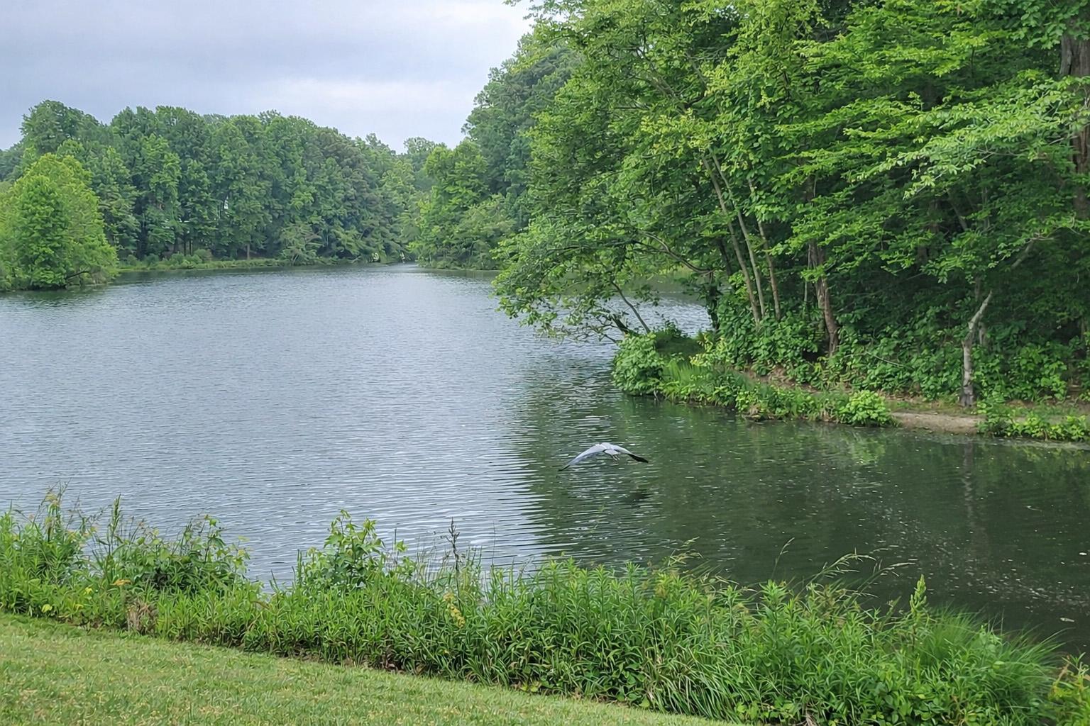 VICTORIA STATION - Residential