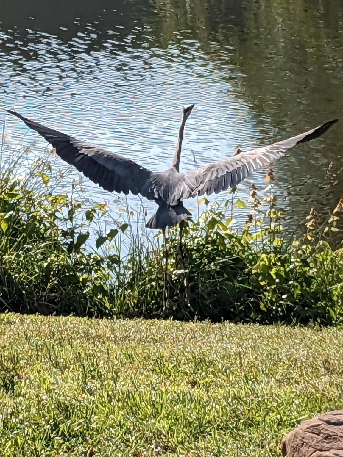 VICTORIA STATION - Residential