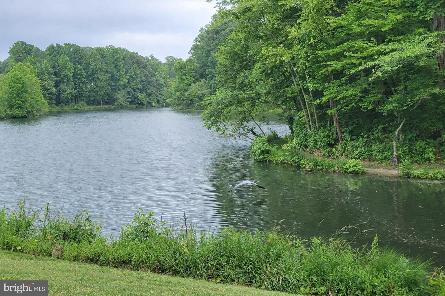 VICTORIA STATION - Residential