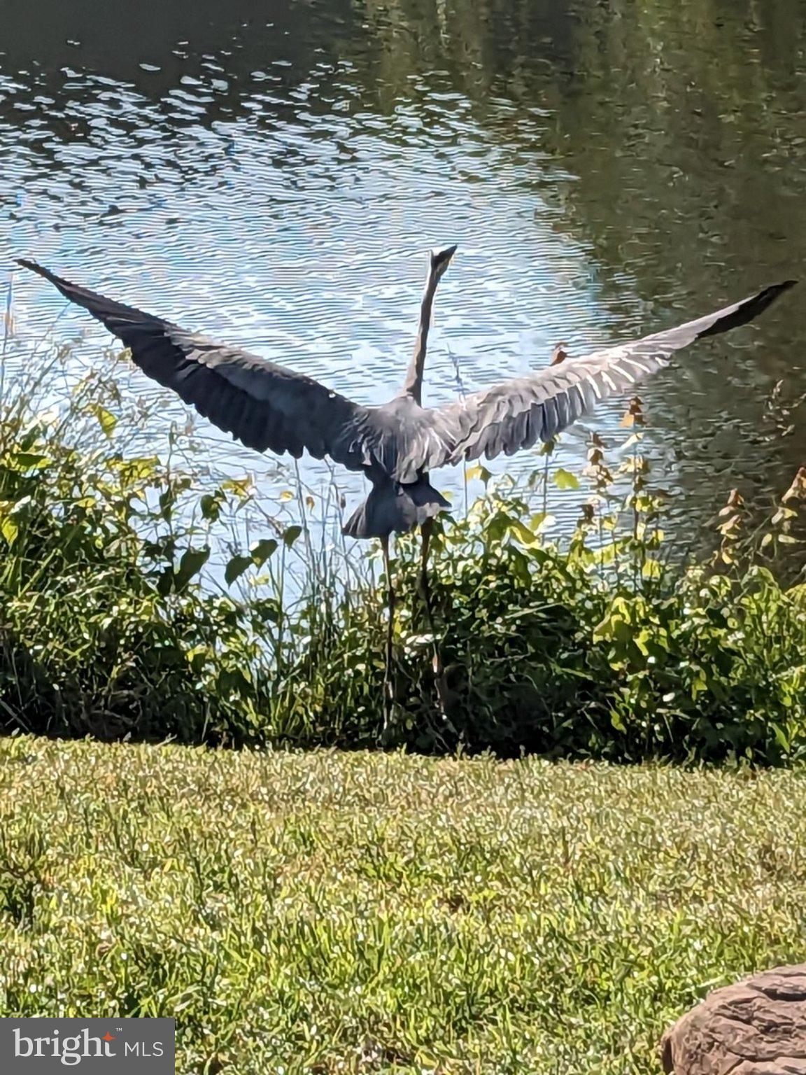 VICTORIA STATION - Residential