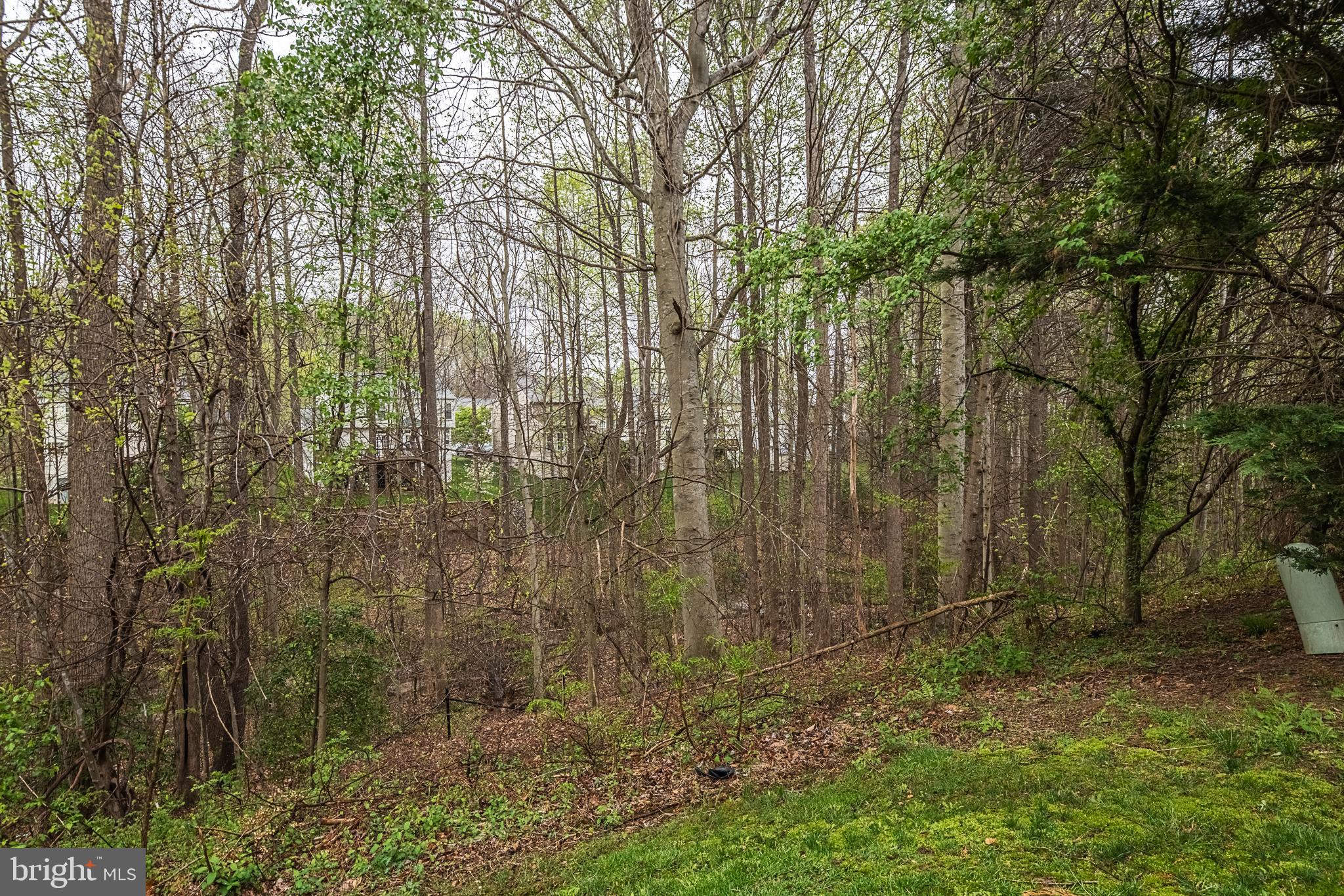 ASHLAND - Residential