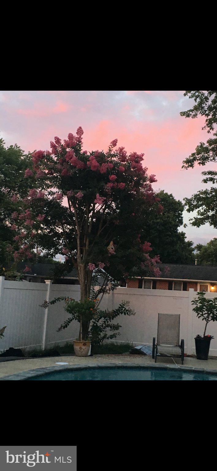 COUNTRY CLUB MANOR - Residential