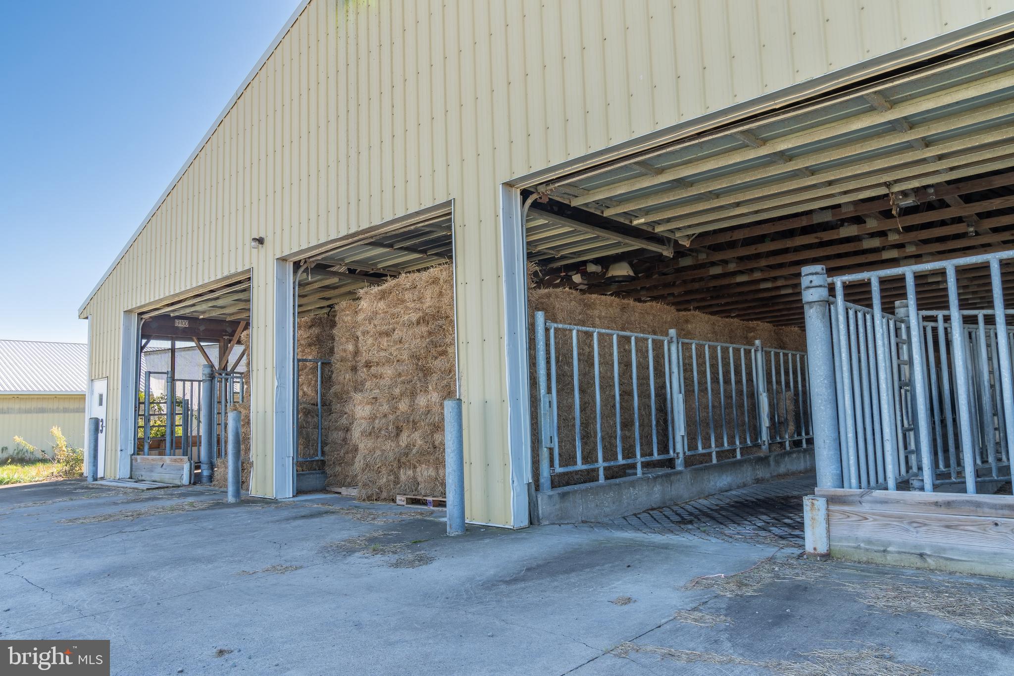 NONE AVAILABLE - Farm