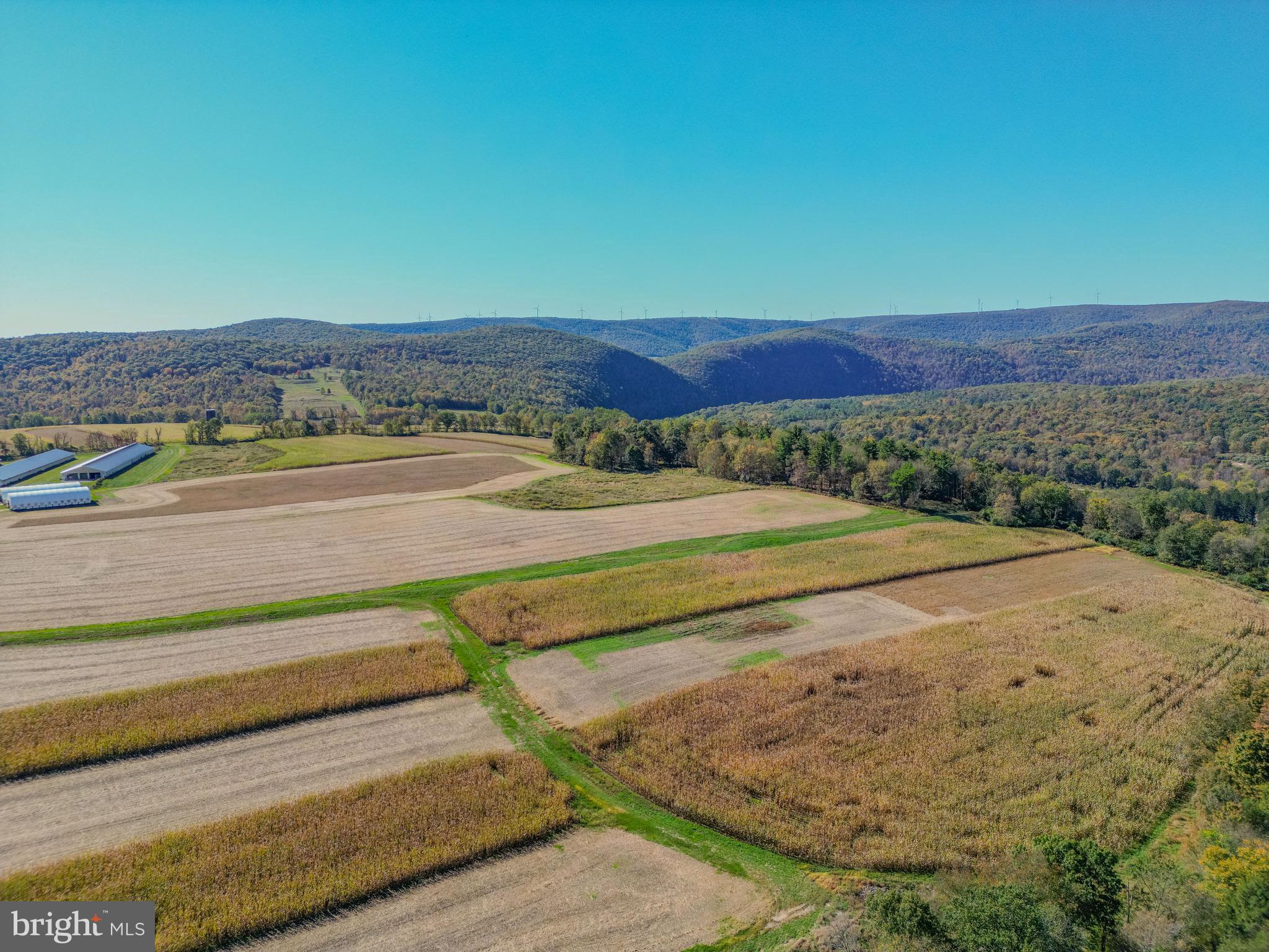 NONE AVAILABLE - Farm