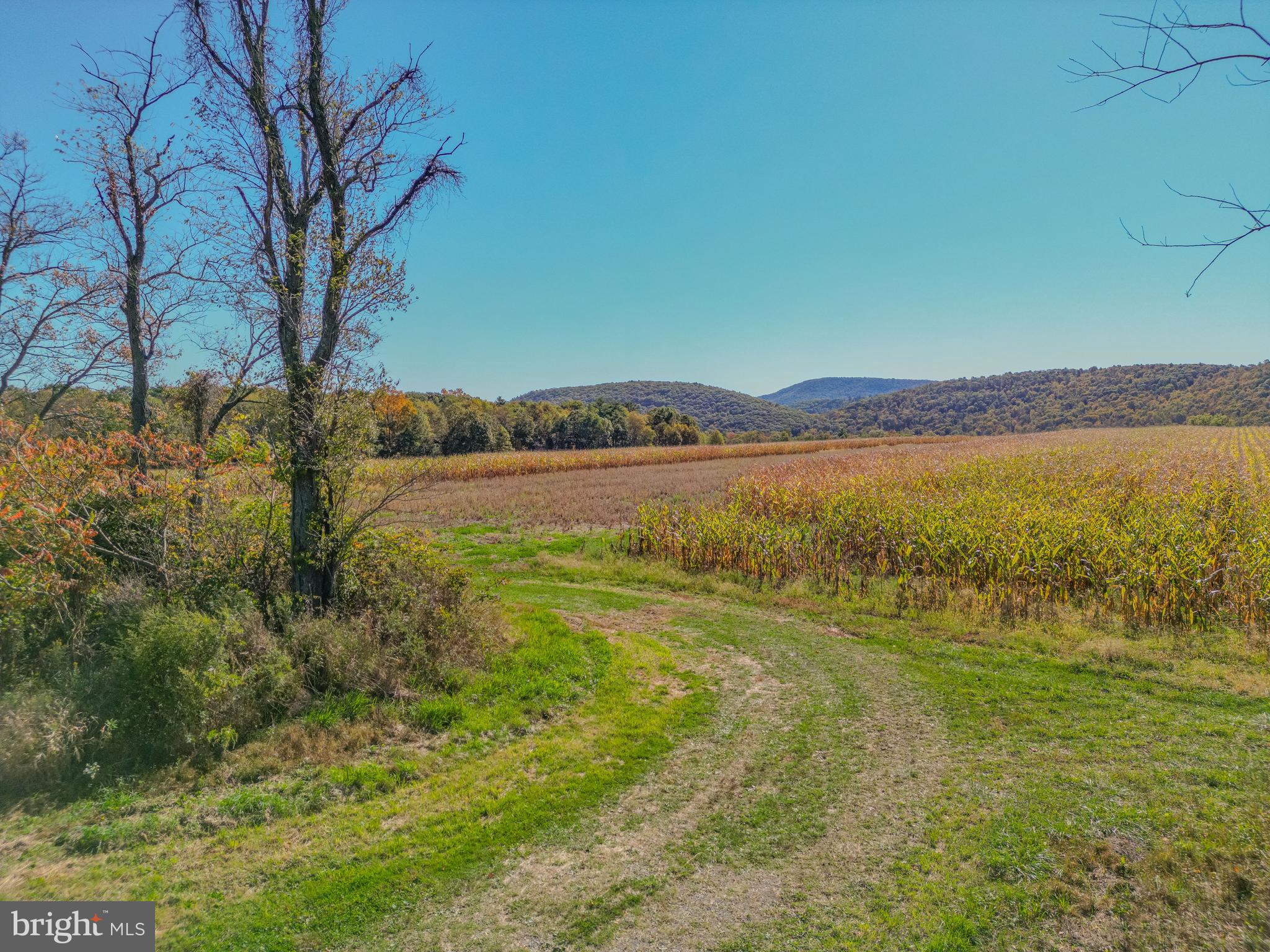 NONE AVAILABLE - Farm