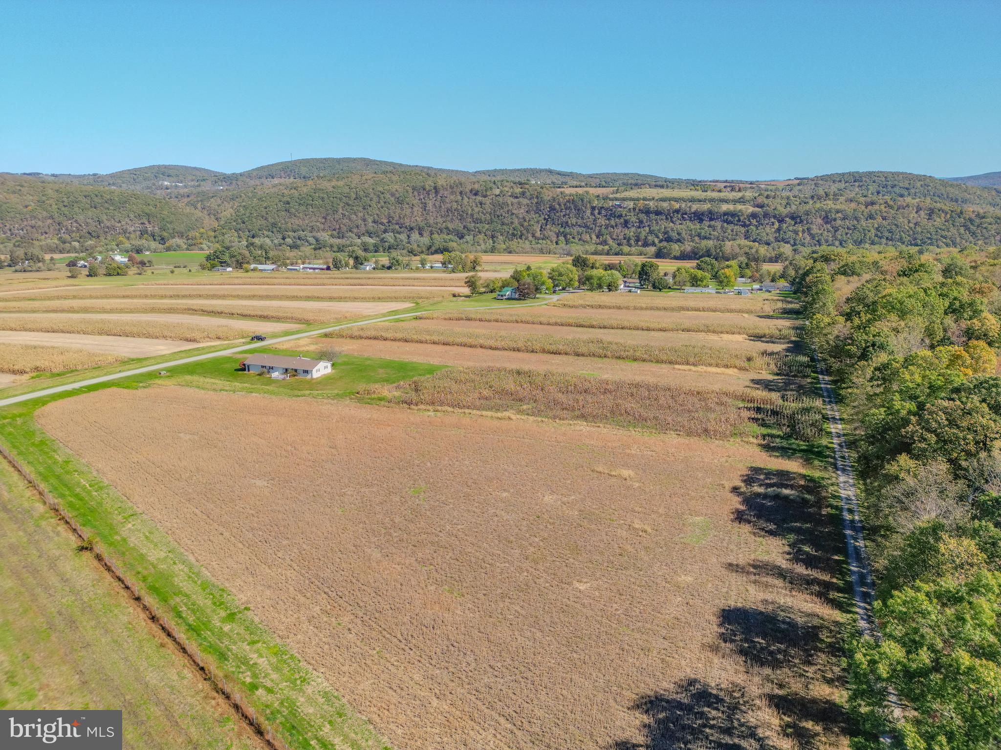 NONE AVAILABLE - Farm