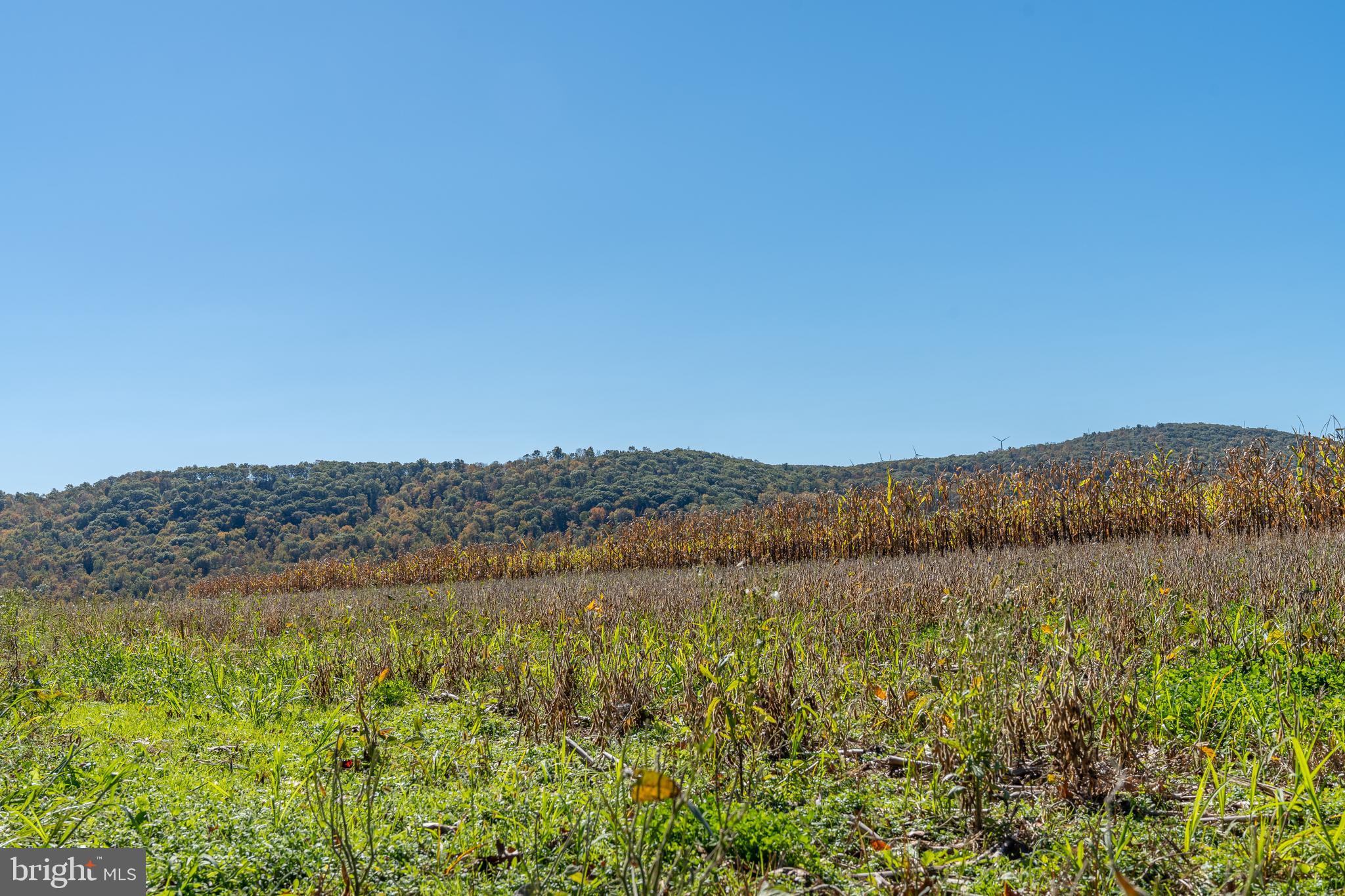 NONE AVAILABLE - Farm