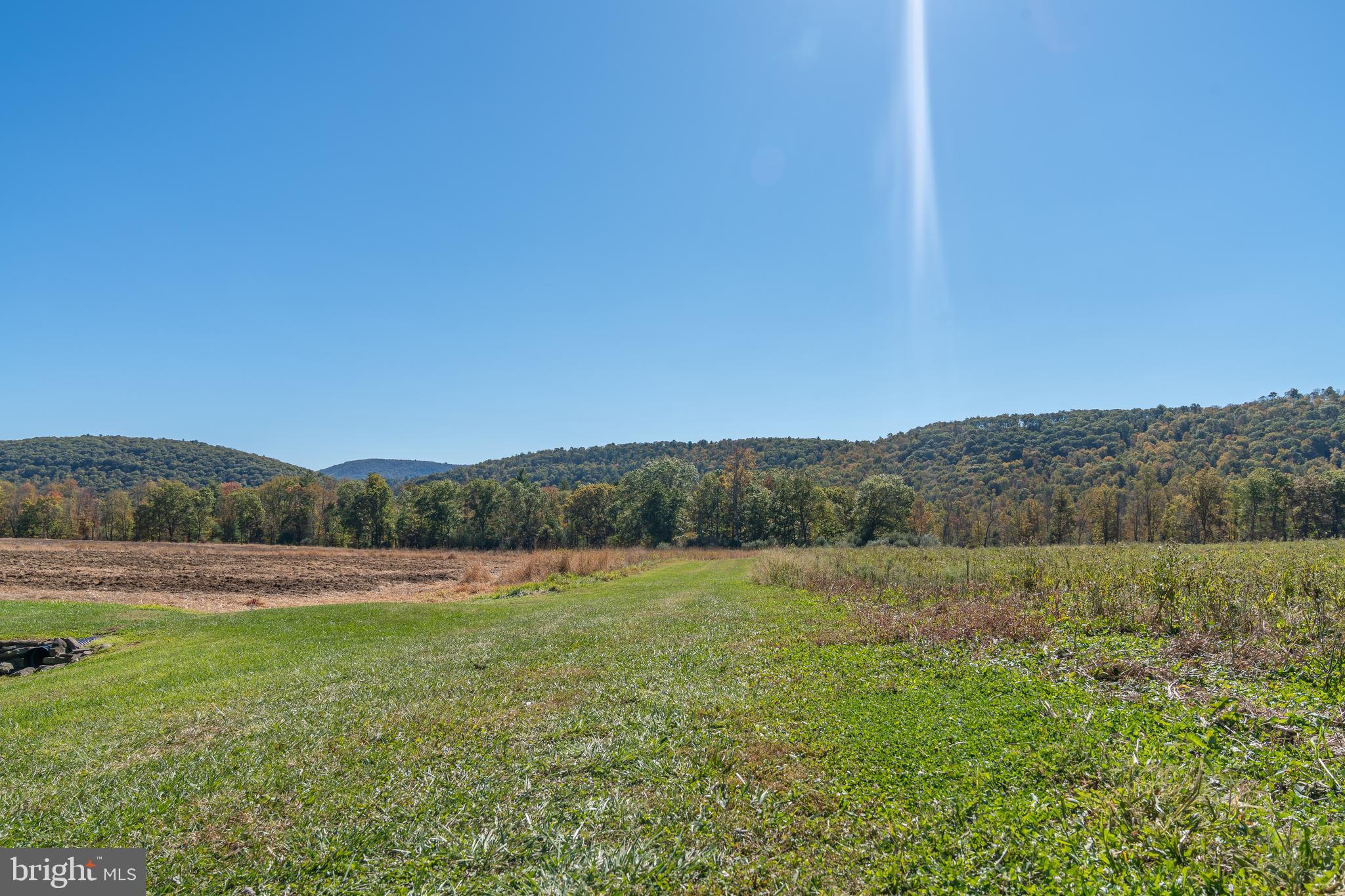 NONE AVAILABLE - Farm