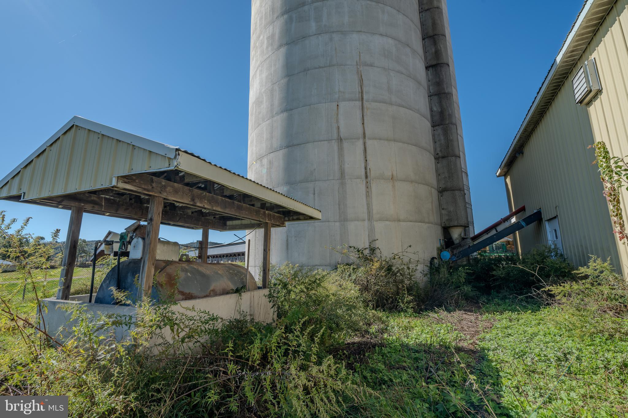 NONE AVAILABLE - Farm