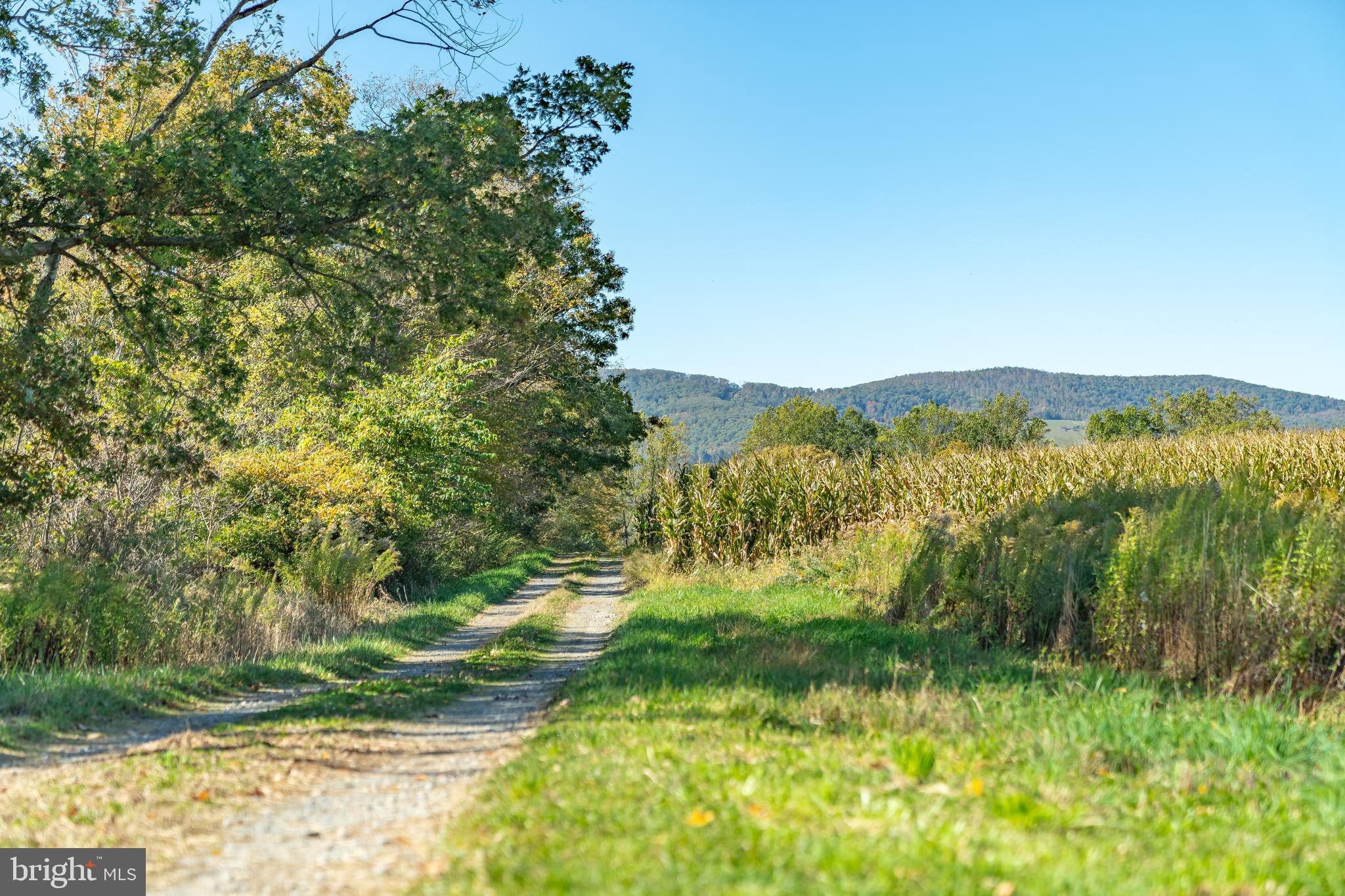 NONE AVAILABLE - Farm