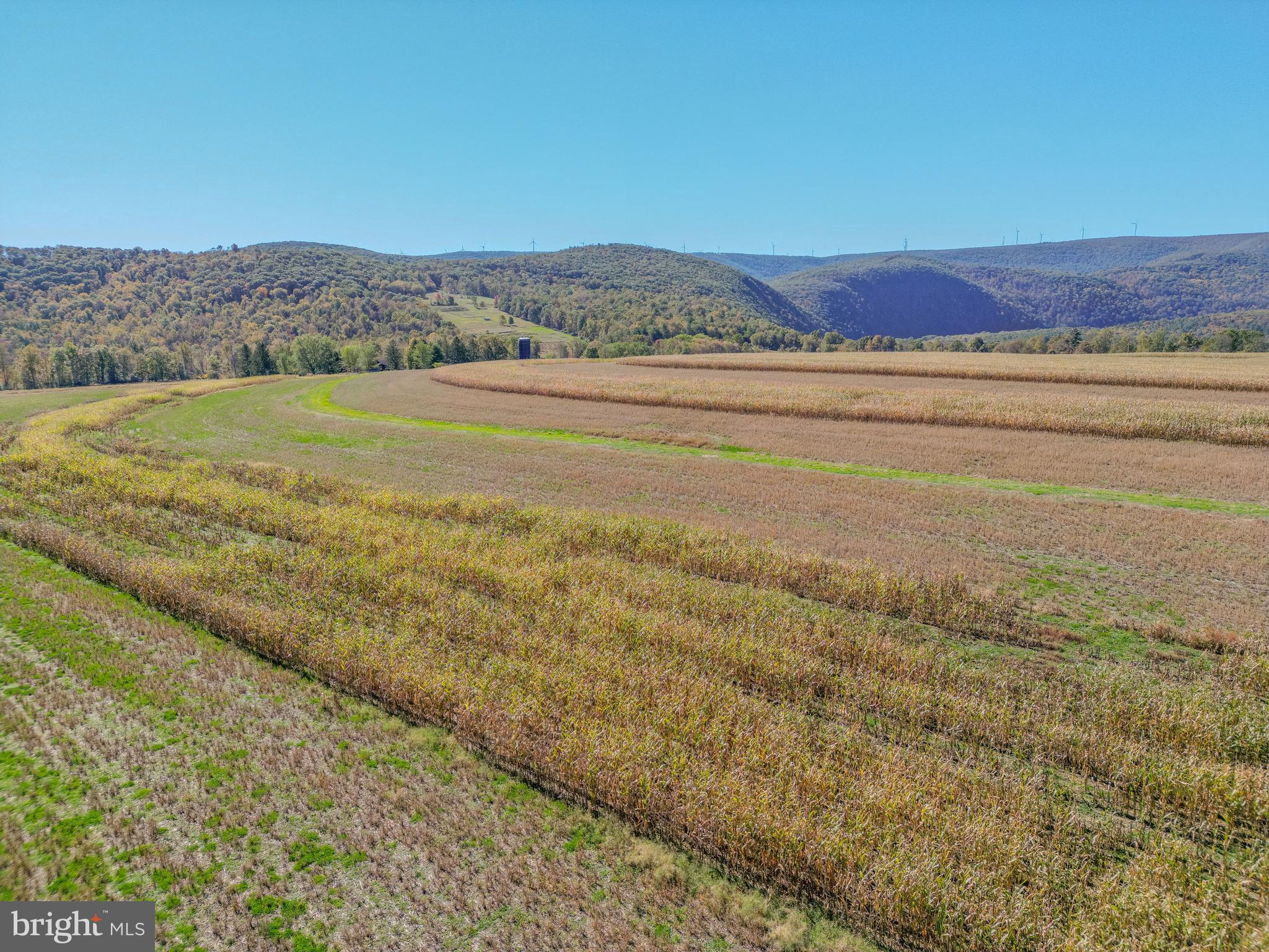 NONE AVAILABLE - Farm