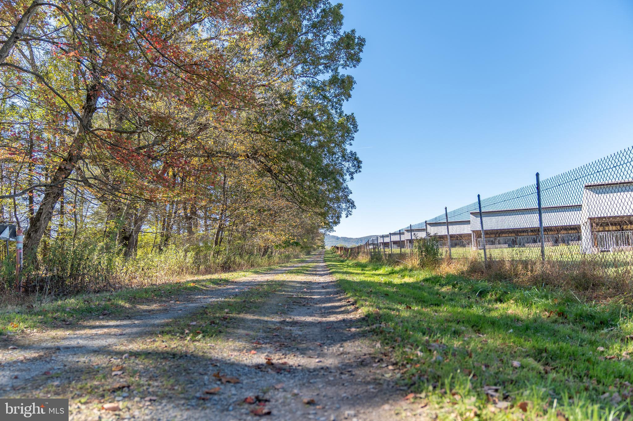 NONE AVAILABLE - Farm