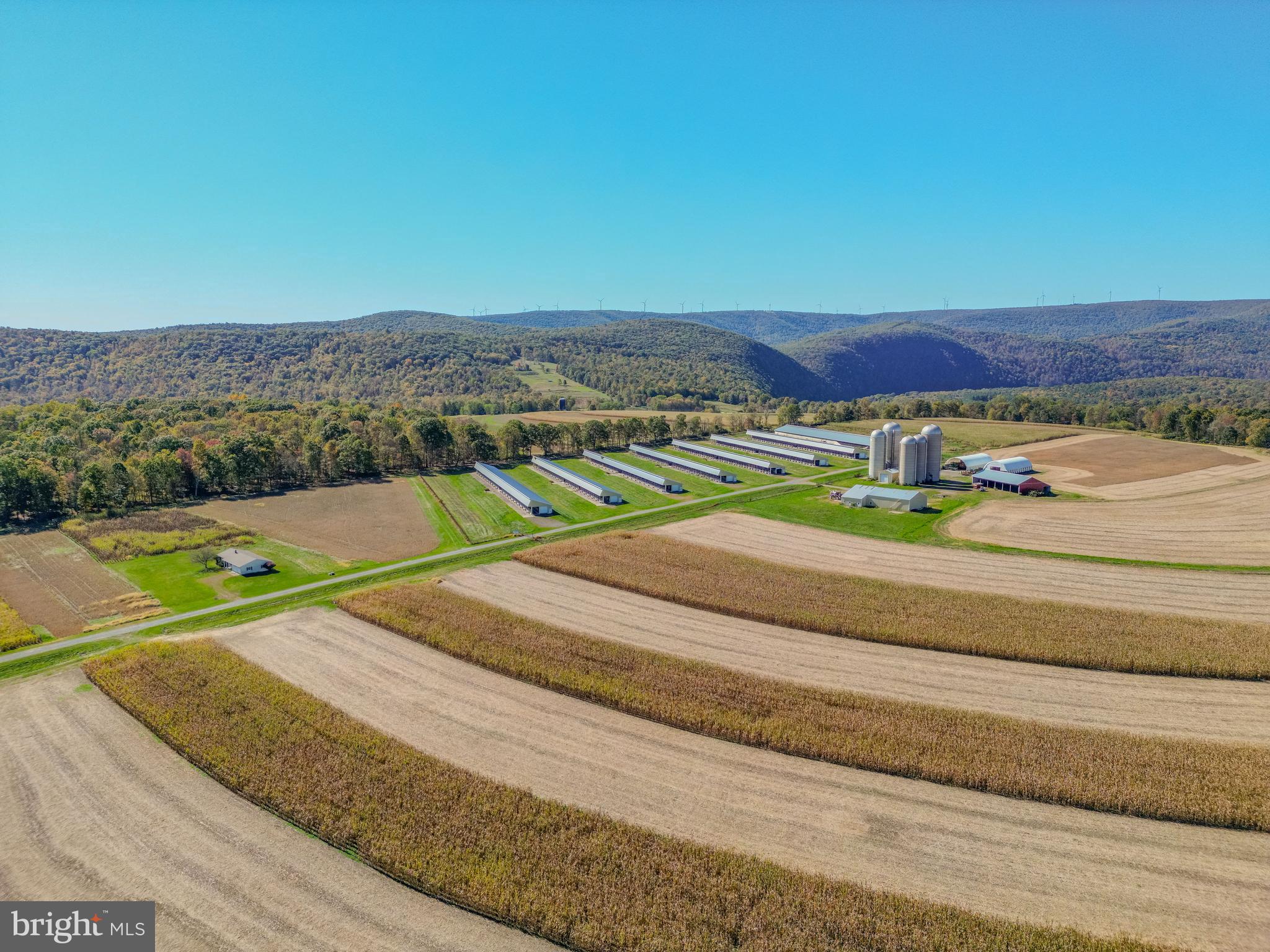 NONE AVAILABLE - Farm