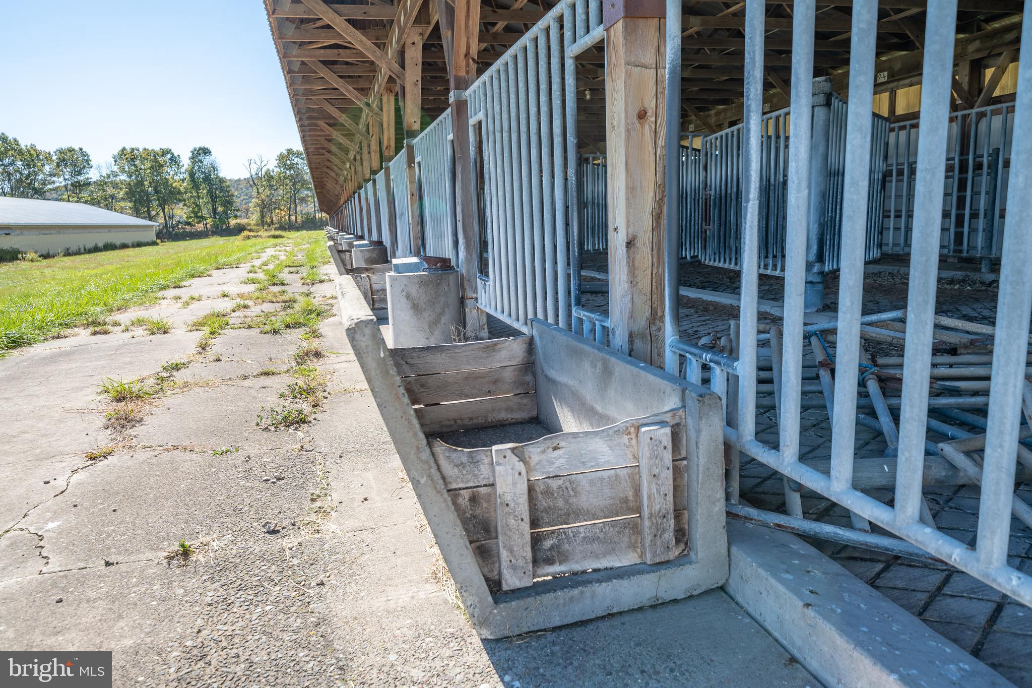 NONE AVAILABLE - Farm