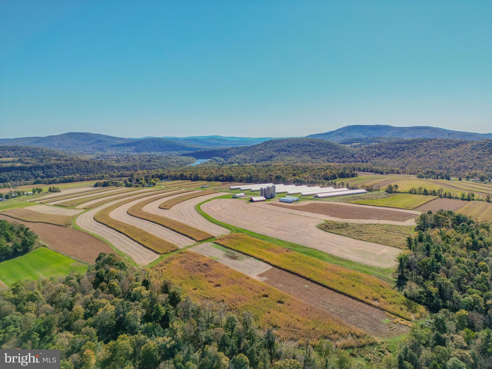 NONE AVAILABLE - Farm