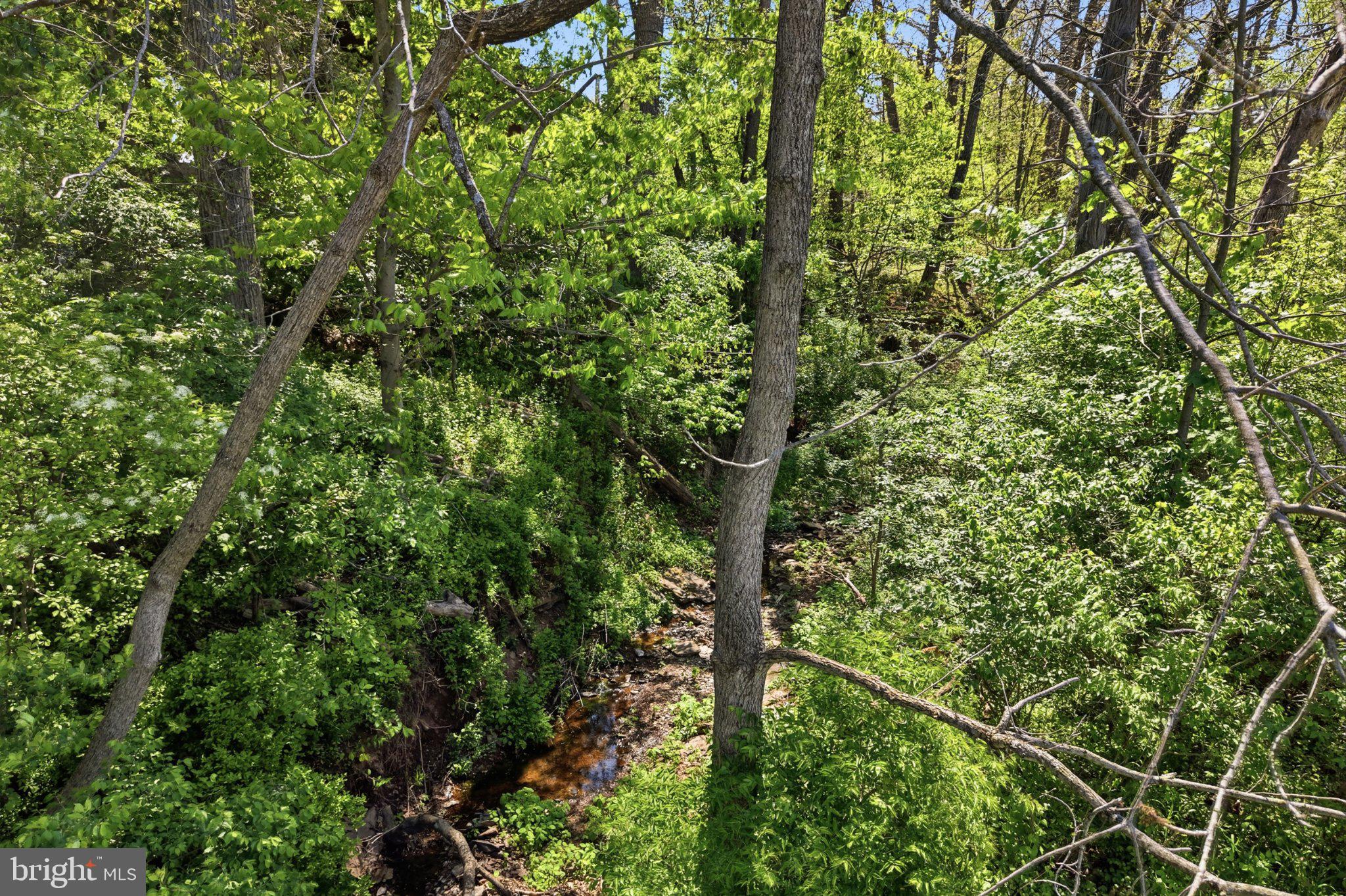 FORREST VIEW - Residential