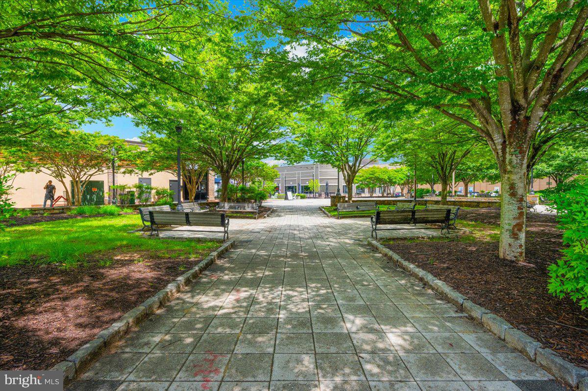 THE COLONNADE AT KENTLANDS - Residential