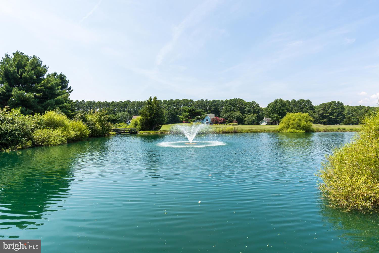 COVE CREEK CLUB - Residential