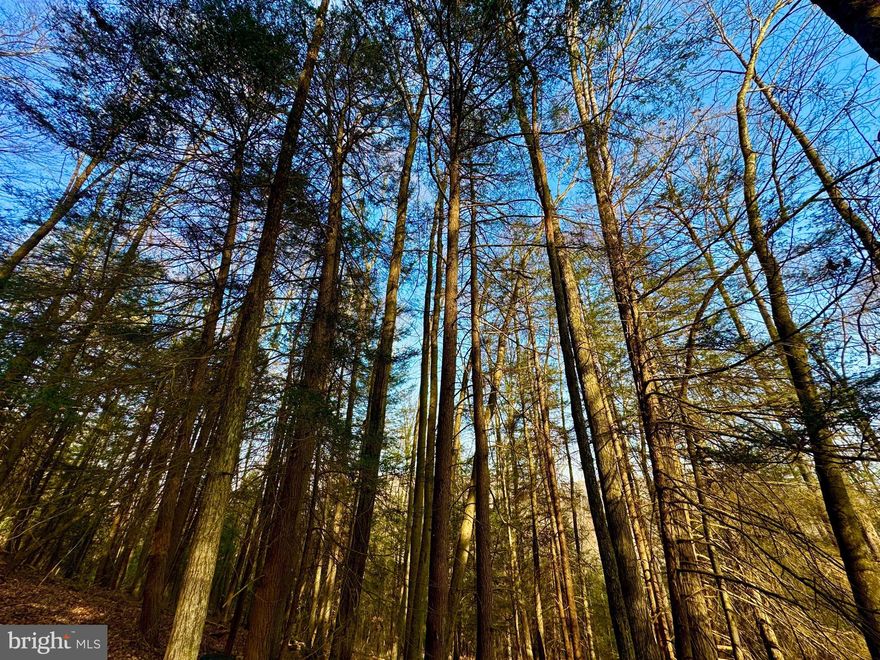 7.5 +/- ACRE LOT just miles from Bruceton Mills, WV. Tucked in a rural, $250/year HOA this expansive lot not only offers seclusion but ease of access just 6 +/- miles from I-68! This buildable lot offers a beautiful homesite all with the sounds of Big Sandy Creek flowing in the background. Trails for riding and hiking through the tract. Build your dream home or your retreat here and enjoy a lifetime of memories. 20 +/- miles to Cheat Lake /Morgantown, 30 +/- miles to Deep Creek Lake, 15 +/- miles to Coopers Rock State Park, 100 +/- miles to Pittsburgh, PA.