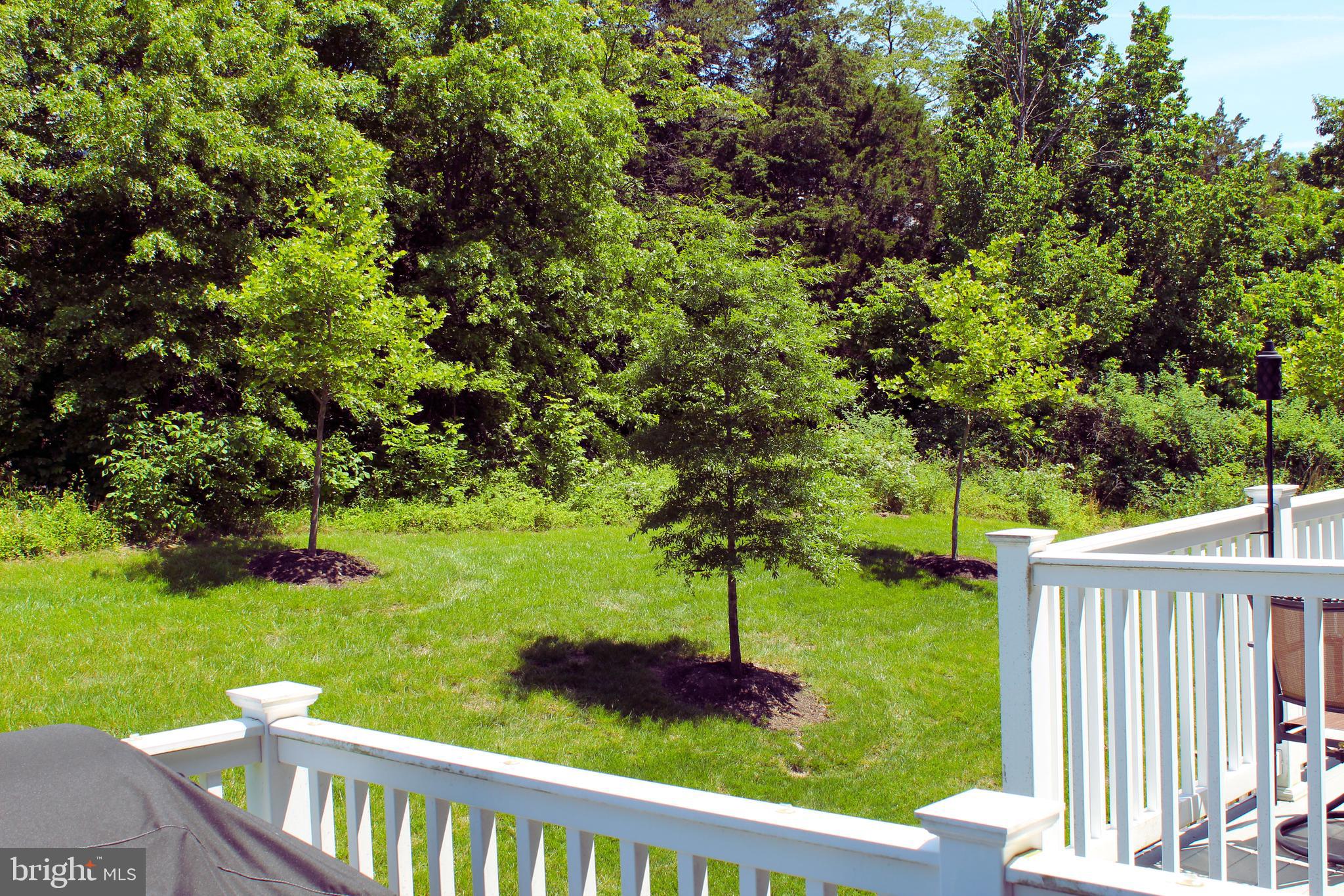 BELMONT RUN - Residential Lease