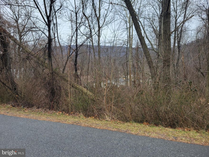 Corner lot - located in Carroll Valley close to Maryland state line, Historic Gettysburg, golf and ski resorts, and other outdoor recreational activities. Use builder of choice, No HOA, well required, no record of being perc test but seller will permit perc testing at buyers’ expense with ratified contract. Come build your dream home on this .65 acre corner lot.