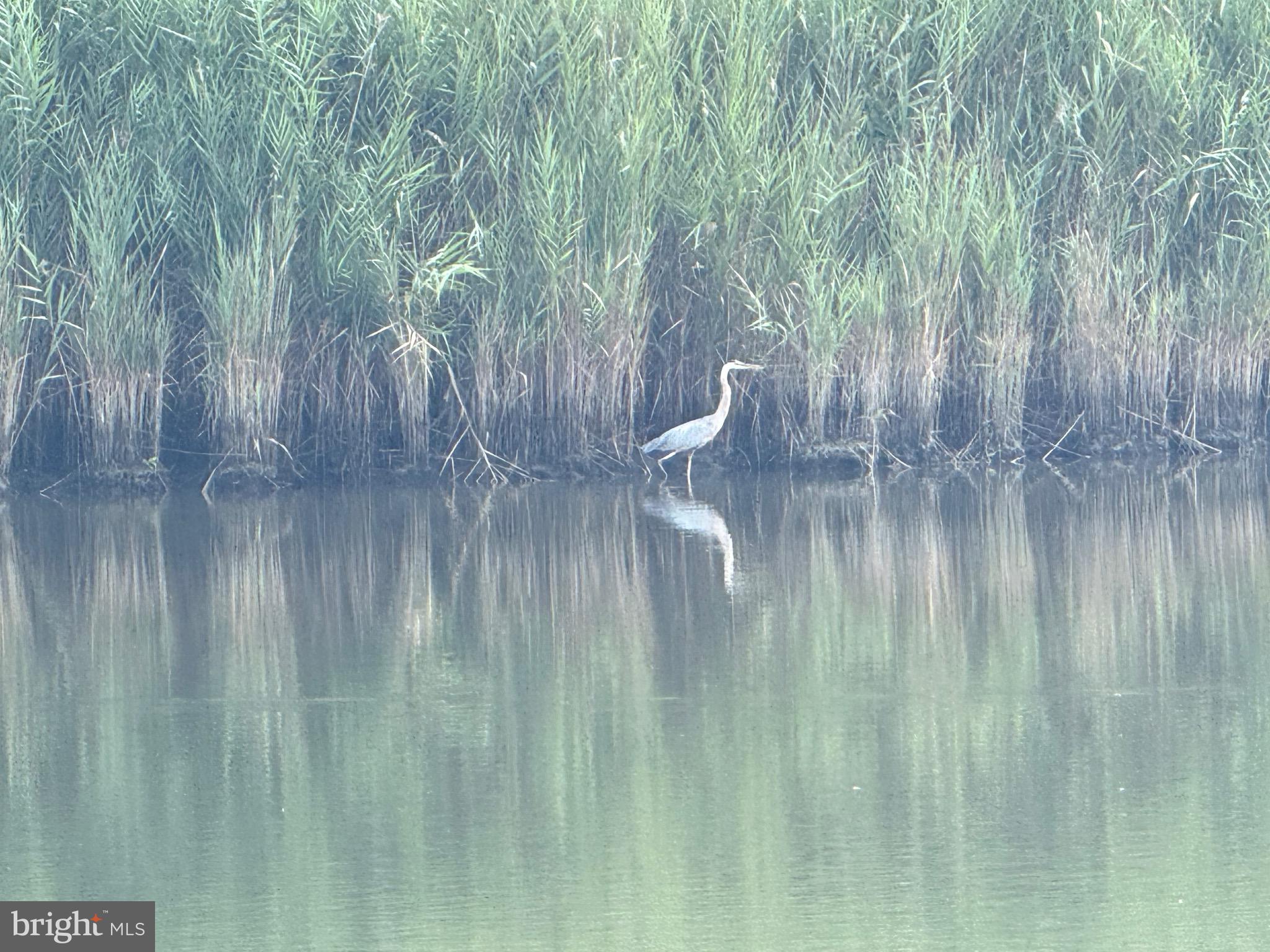 WEBBS LANDING - Residential
